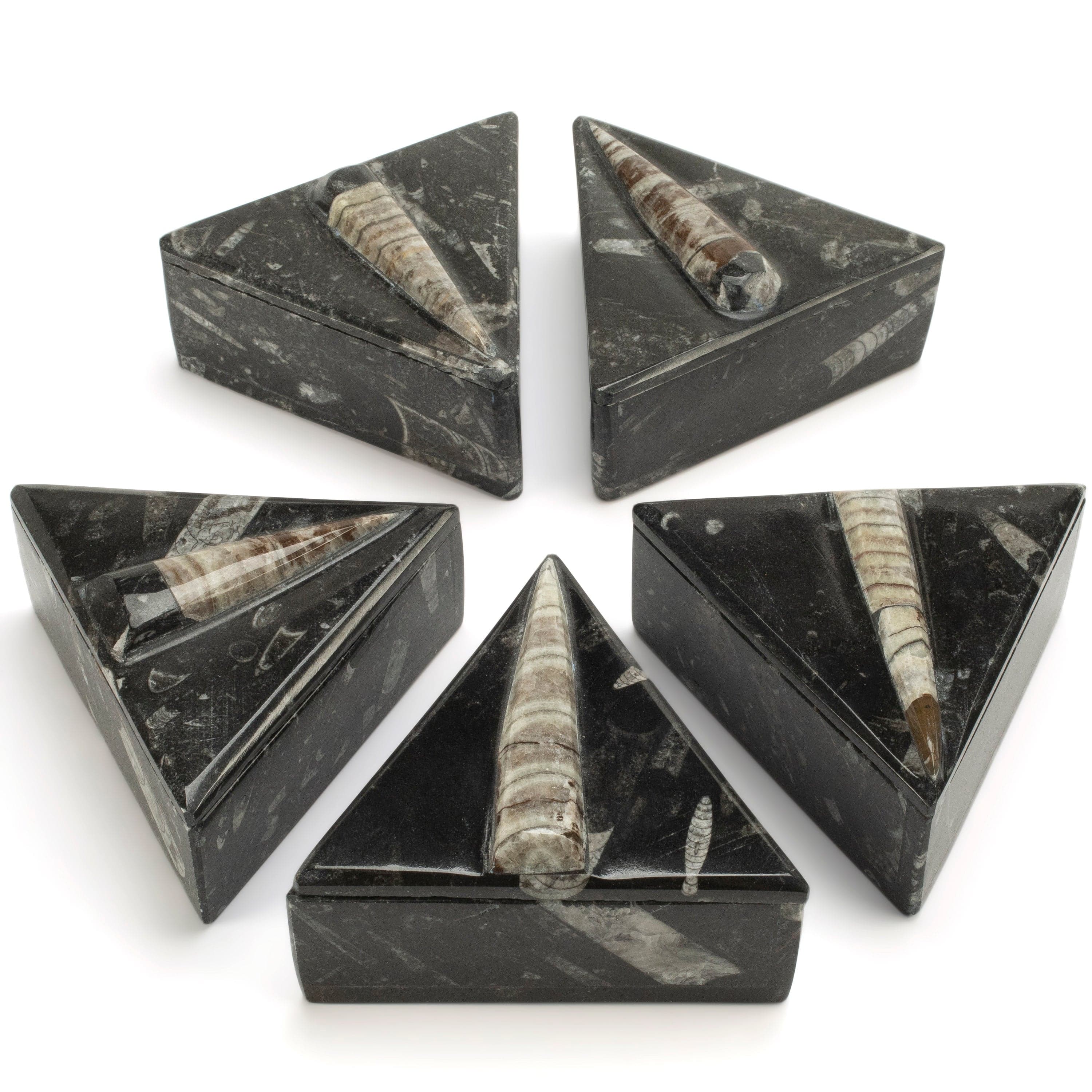 Kalifano Fossils & Minerals Natural Orthoceras Vanity Box from Morocco - Triangular & Black SVA-ORO-BK1