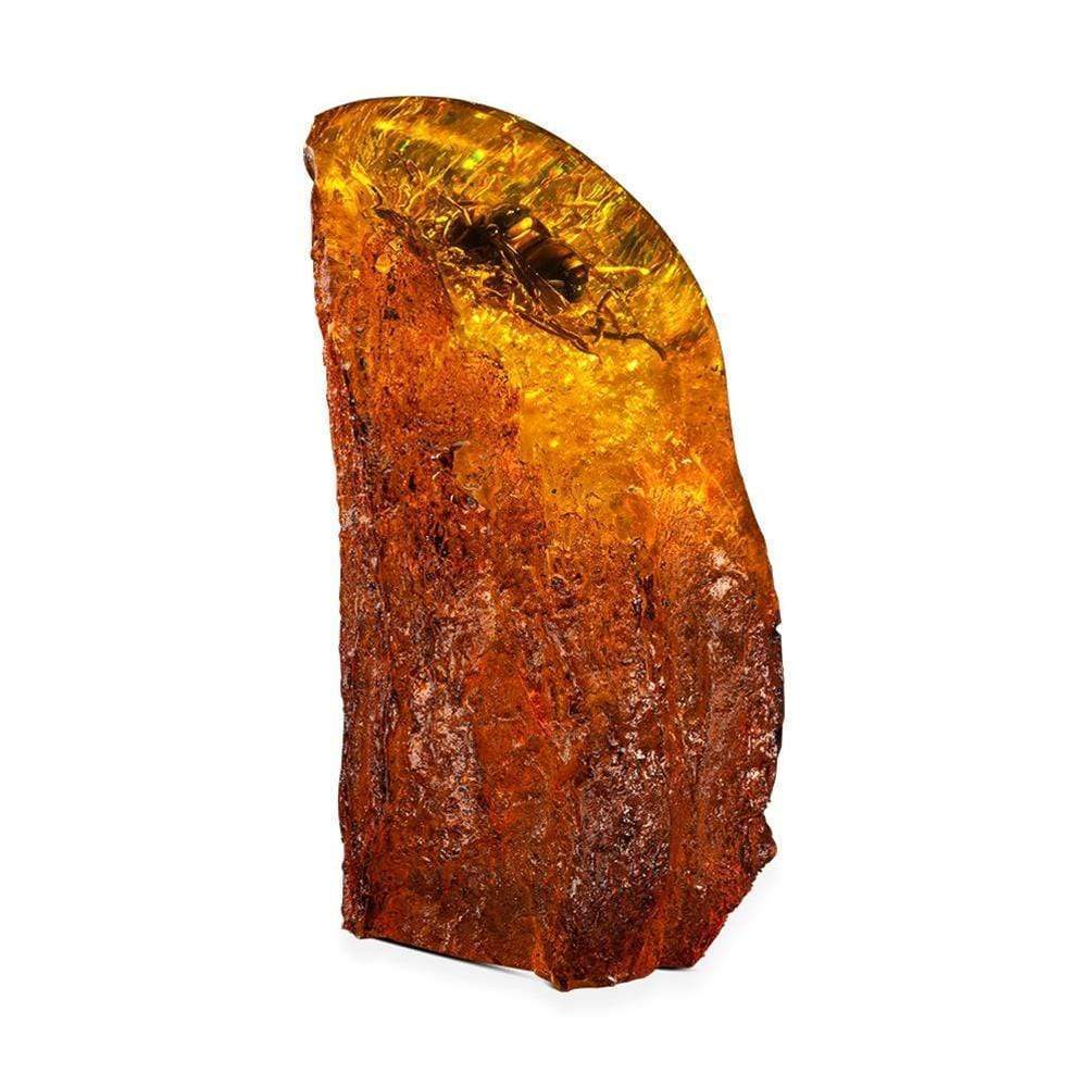 Kalifano Fossils & Minerals onyx AMB1140