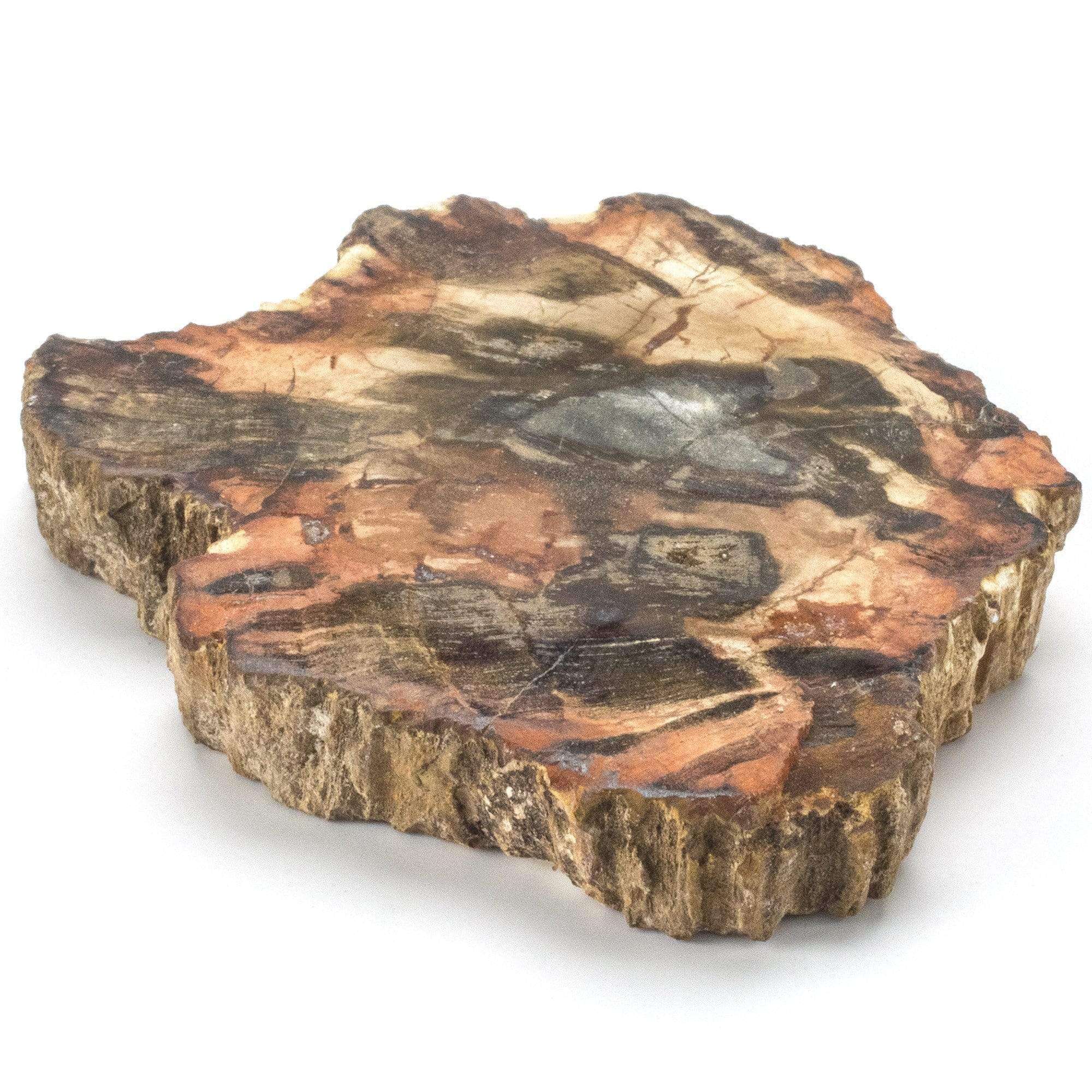 Kalifano Fossils & Minerals PW39 - Petrified Wood - Madagascar PW39