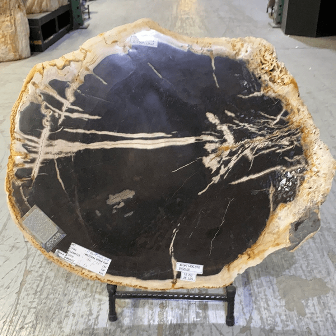 Kalifano Fossils & Minerals PWT1400.010 - Petrified Wood Table Top 13 KG/ 29 LBS- Indonesia PWT1400.010