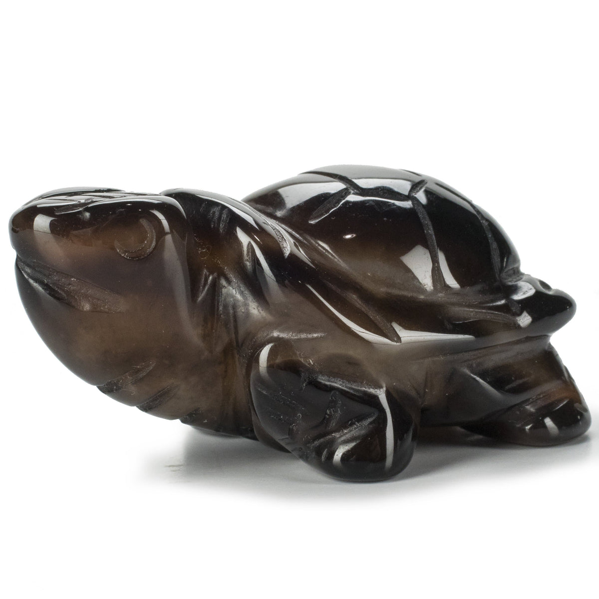 Kalifano Gemstone Carvings Black Agate Turtle 1.5'' Natural Gemstone Carving CV13-T-BAE