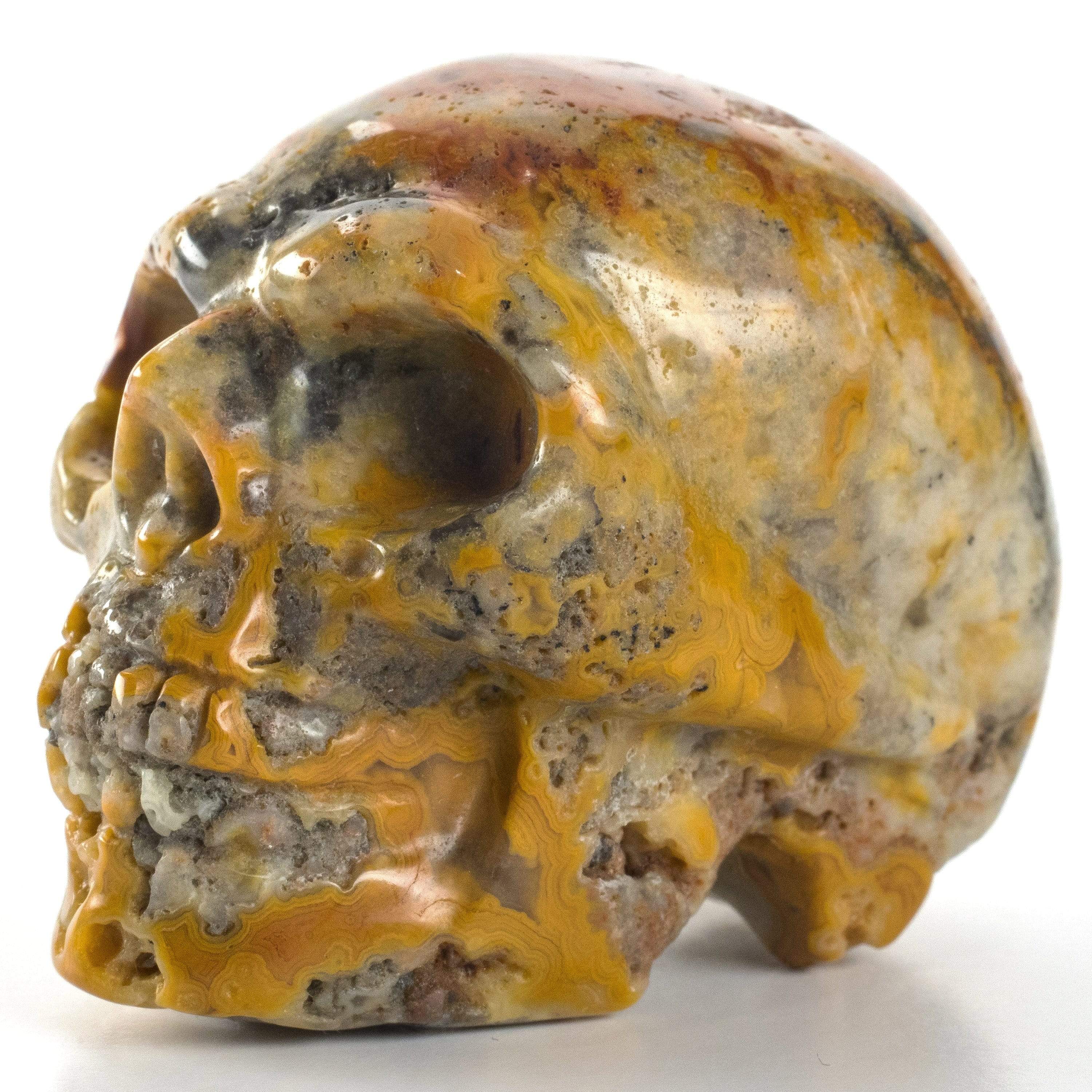 Kalifano Gemstone Carvings Crazy Lace Agate Skull 2'' Natural Gemstone Carving CV29-SK-CLA