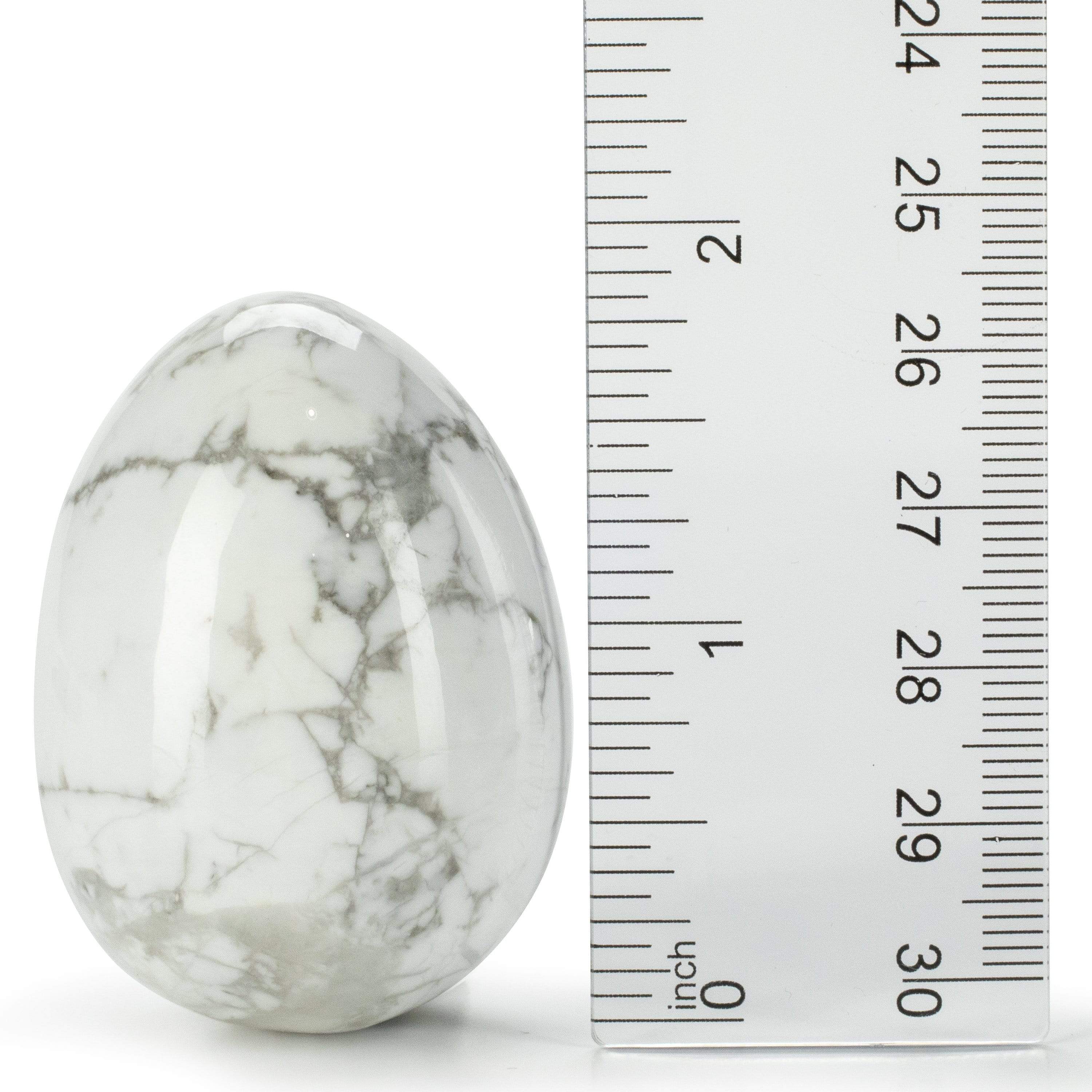 Kalifano Gemstone Carvings Howlite Egg Natural Gemstone Carving CV14-EG-HT