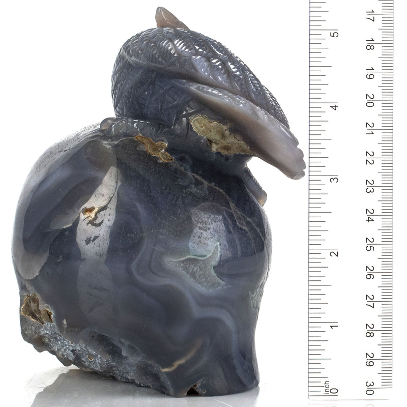 Kalifano Gemstone Carvings Natural Brazilian Blue Lace Agate Owl Animal Carving - 5.1 in CV483.001