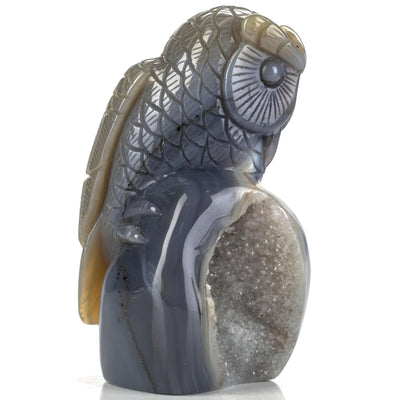 Kalifano Gemstone Carvings Natural Brazilian Blue Lace Agate Owl Animal Carving - 5.7 in CV388.001