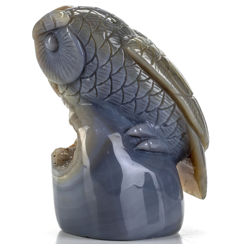 Kalifano Gemstone Carvings Natural Brazilian Blue Lace Agate Owl Animal Carving - 5 in CV386.001