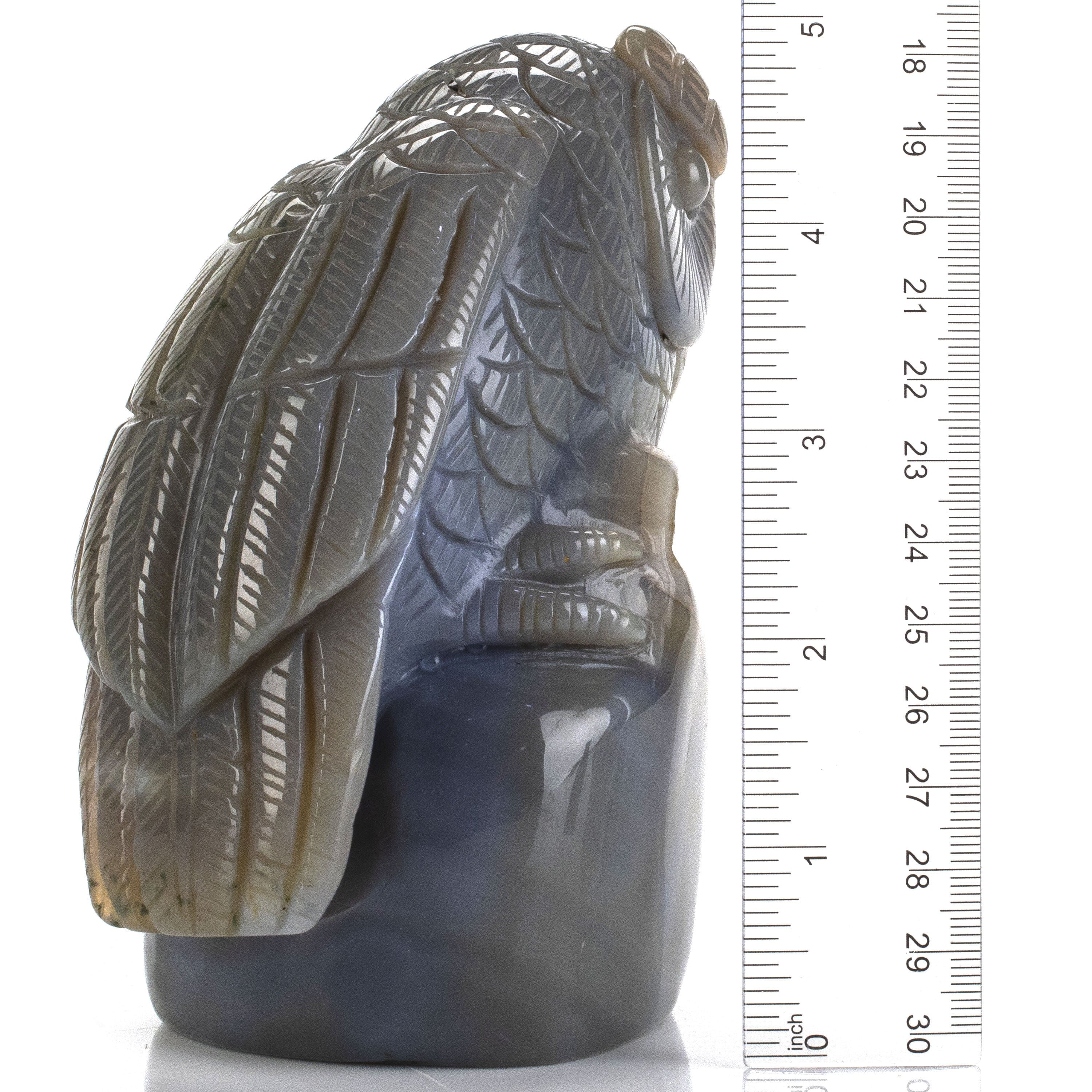 Kalifano Gemstone Carvings Natural Brazilian Blue Lace Agate Owl Animal Carving - 5 in CV386.001