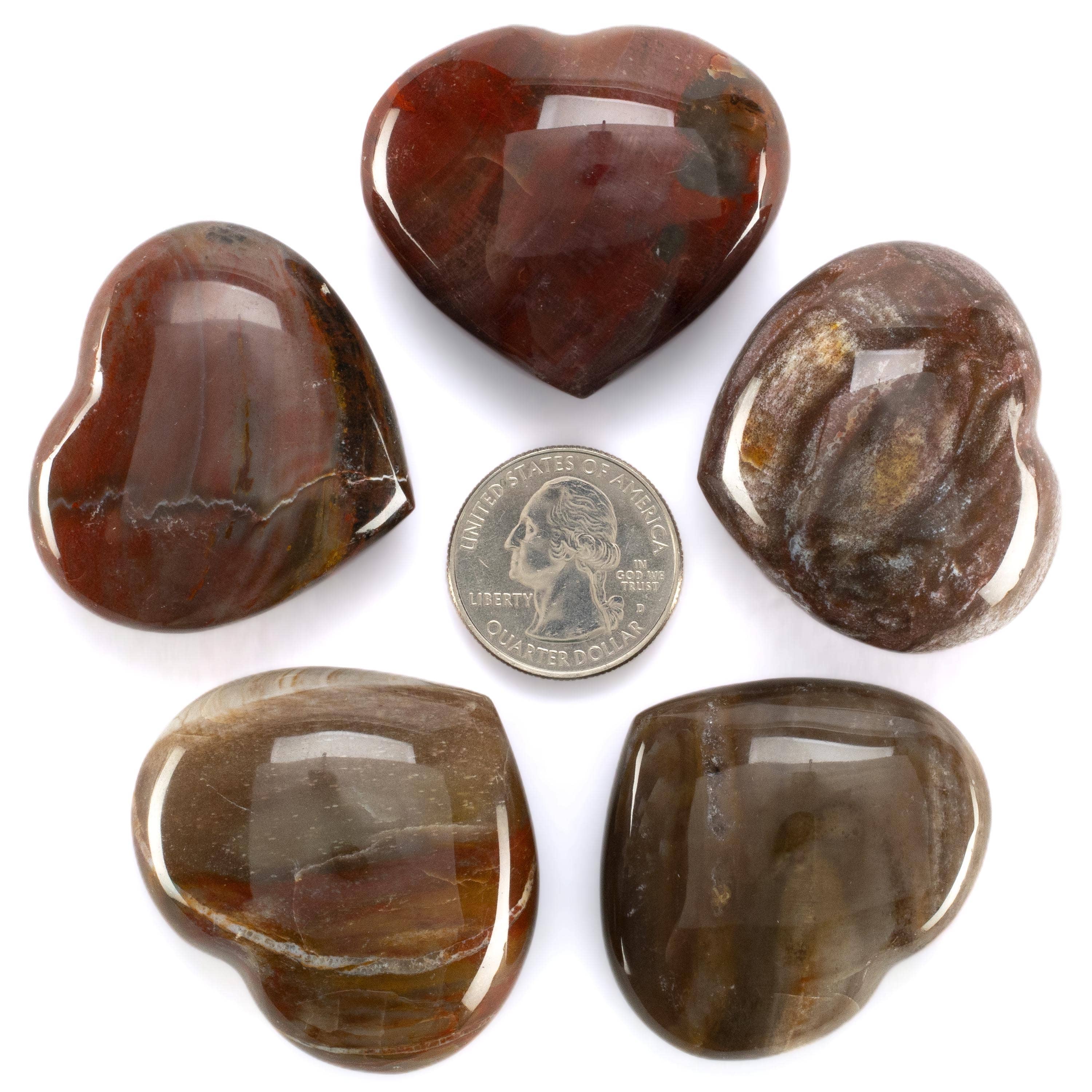 Kalifano Gemstone Carvings Petrified Wood Heart Carving GH40-PW