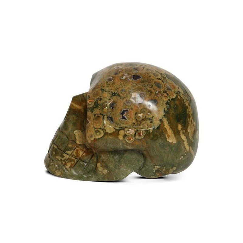 Kalifano Gemstone Carvings SKULL3000.005 - Hand Carved Rain Forest Jasper Skull-Brazil- 4,970 Grams 8" x 6" x 6" SKULL3000.005