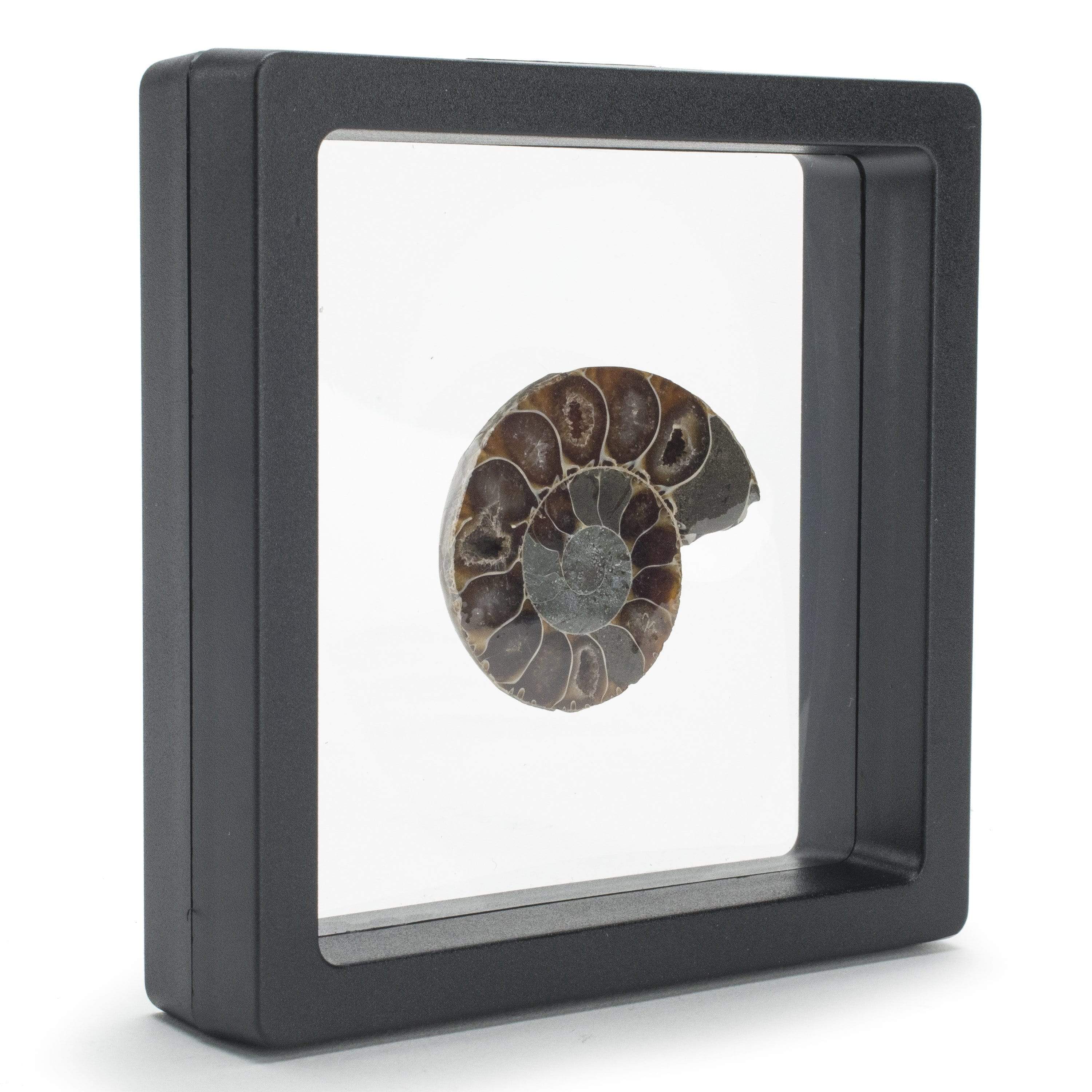 Kalifano Jewelry Displays Black FIlm Case Display - 9 cm x 9 cm DISPLAY-BFC