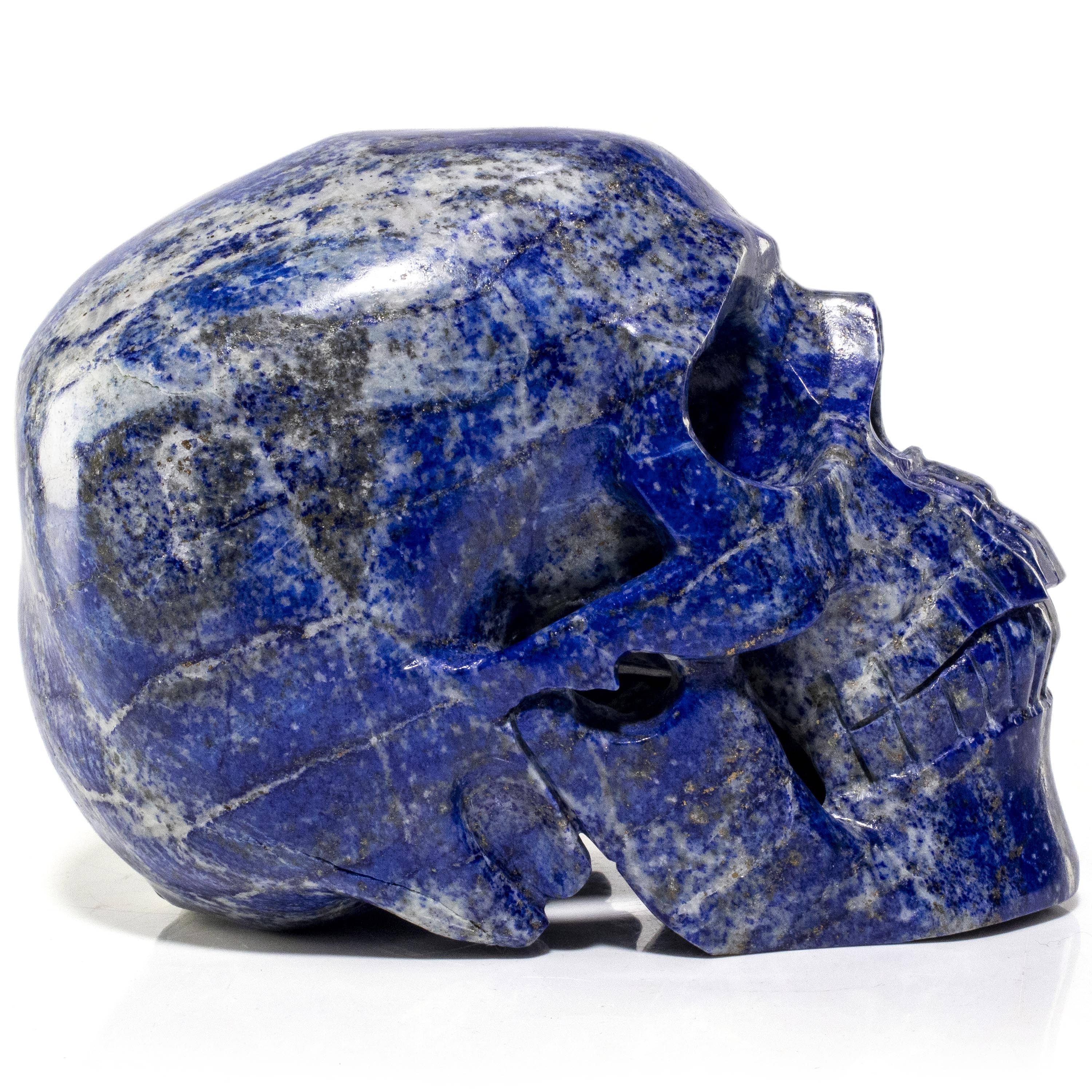 Kalifano Lapis Lapis Skull Carving 6" / 2,707g SK9600-LP.001