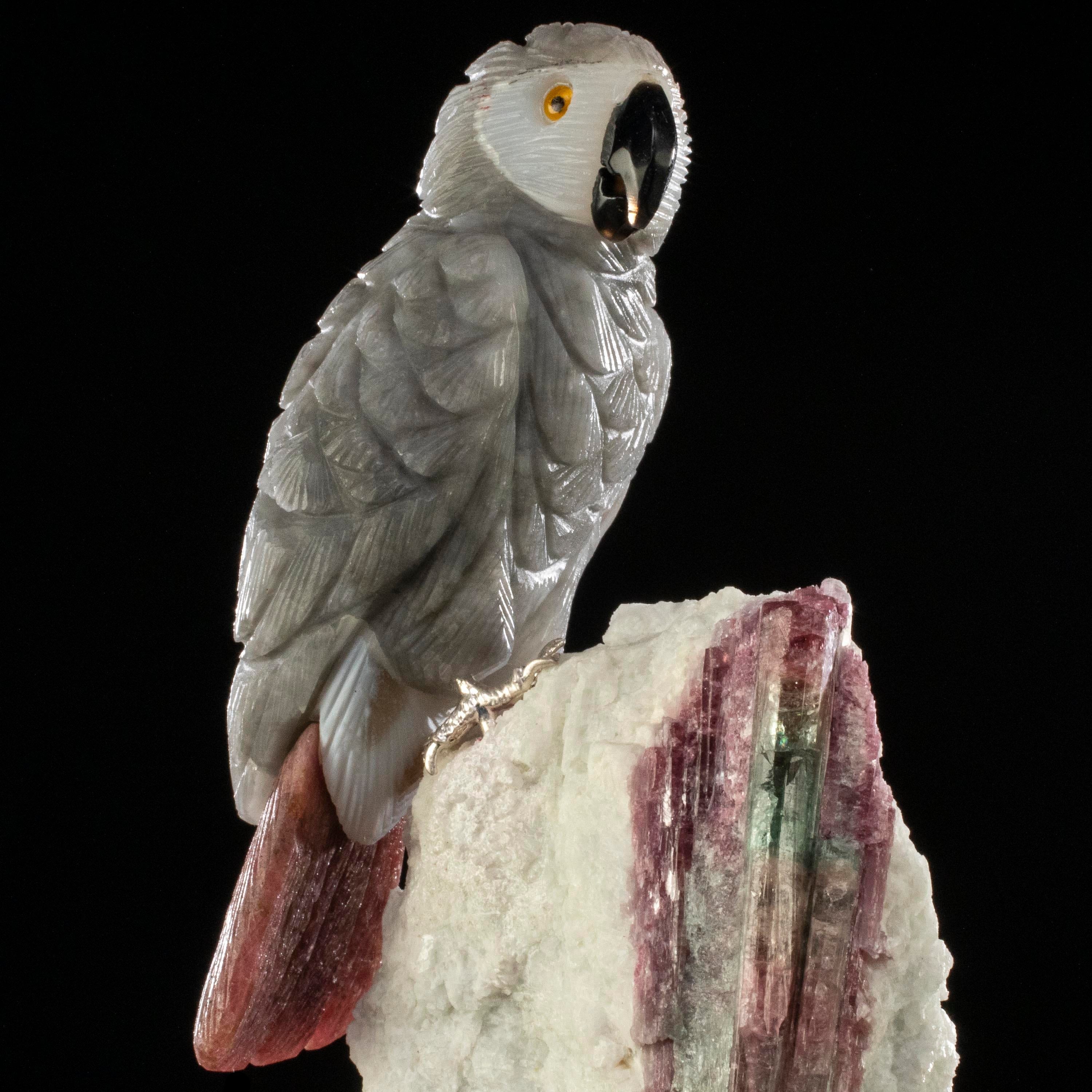 Stuffed african grey best sale parrot