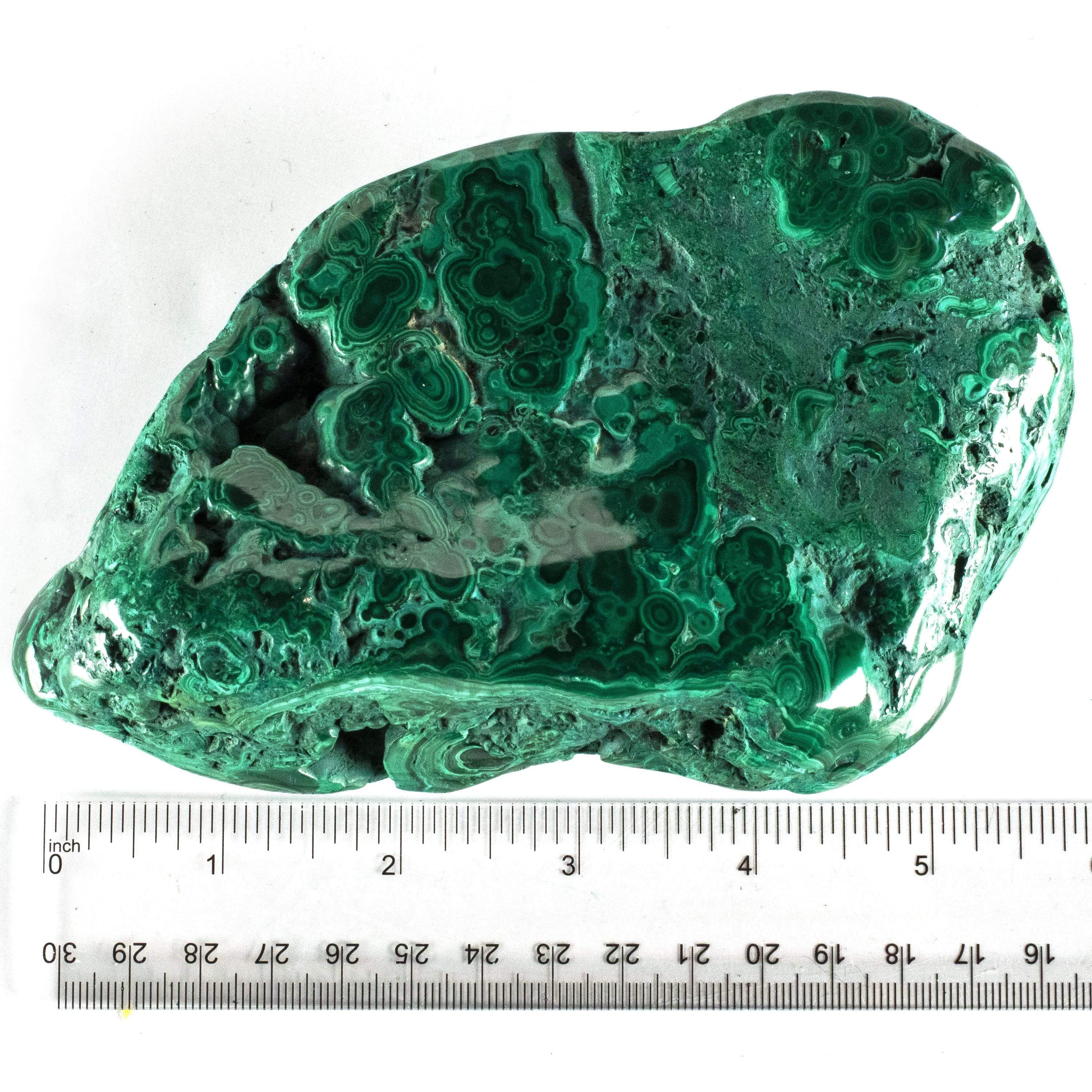 Kalifano Malachite Rare Natural Green Malachite Polished Freeform Specimen from Congo - 1040 g / 2.3 lbs MA750.002