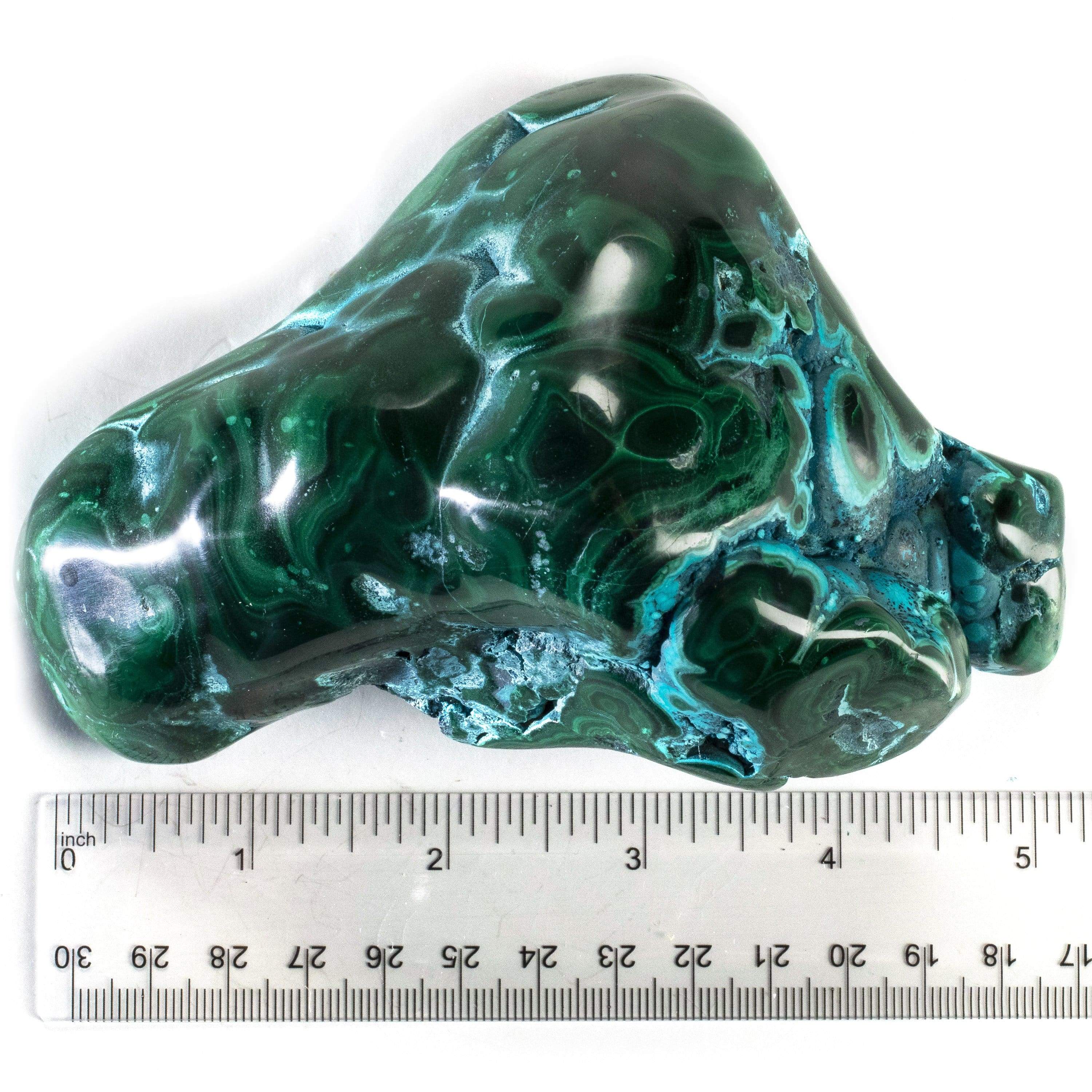 Kalifano Malachite Rare Natural Green Malachite with Blue Chrysocolla Freeform Specimen from Congo - 0.8 kg / 1.7 lbs MAC800.001