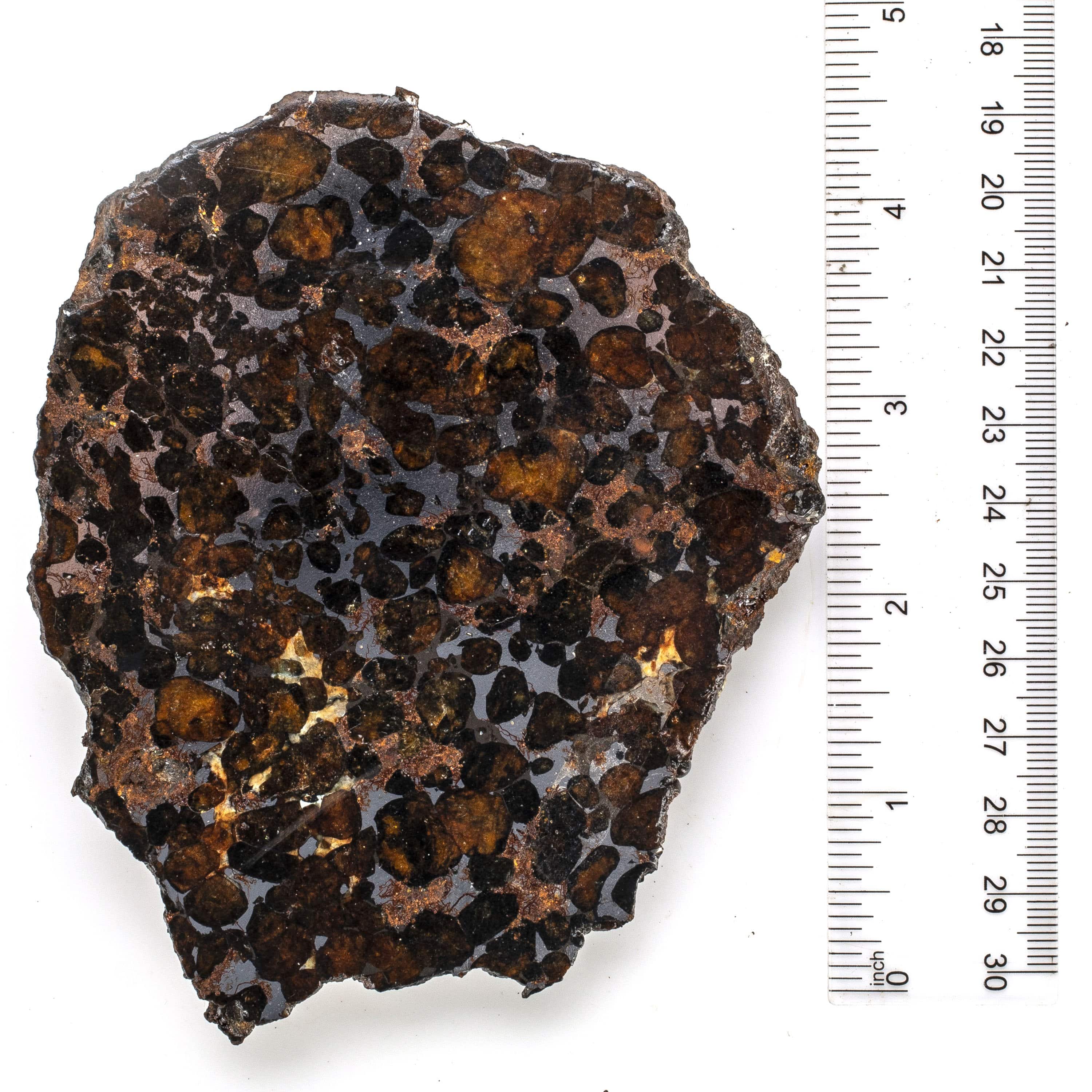 Kalifano Meteorites MTSER9600.001 - Sericho Pallasite Iron Meteorite  - 476 gramsFound in 2016 -  Kenya - TKW: 2,800 kg MTSER9600.001