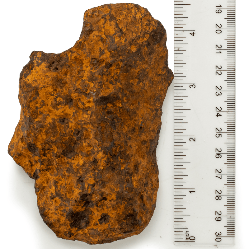 Kalifano Meteorites Natural Chinga Iron Meteorite from Russia - 605 grams MTCH12200.002