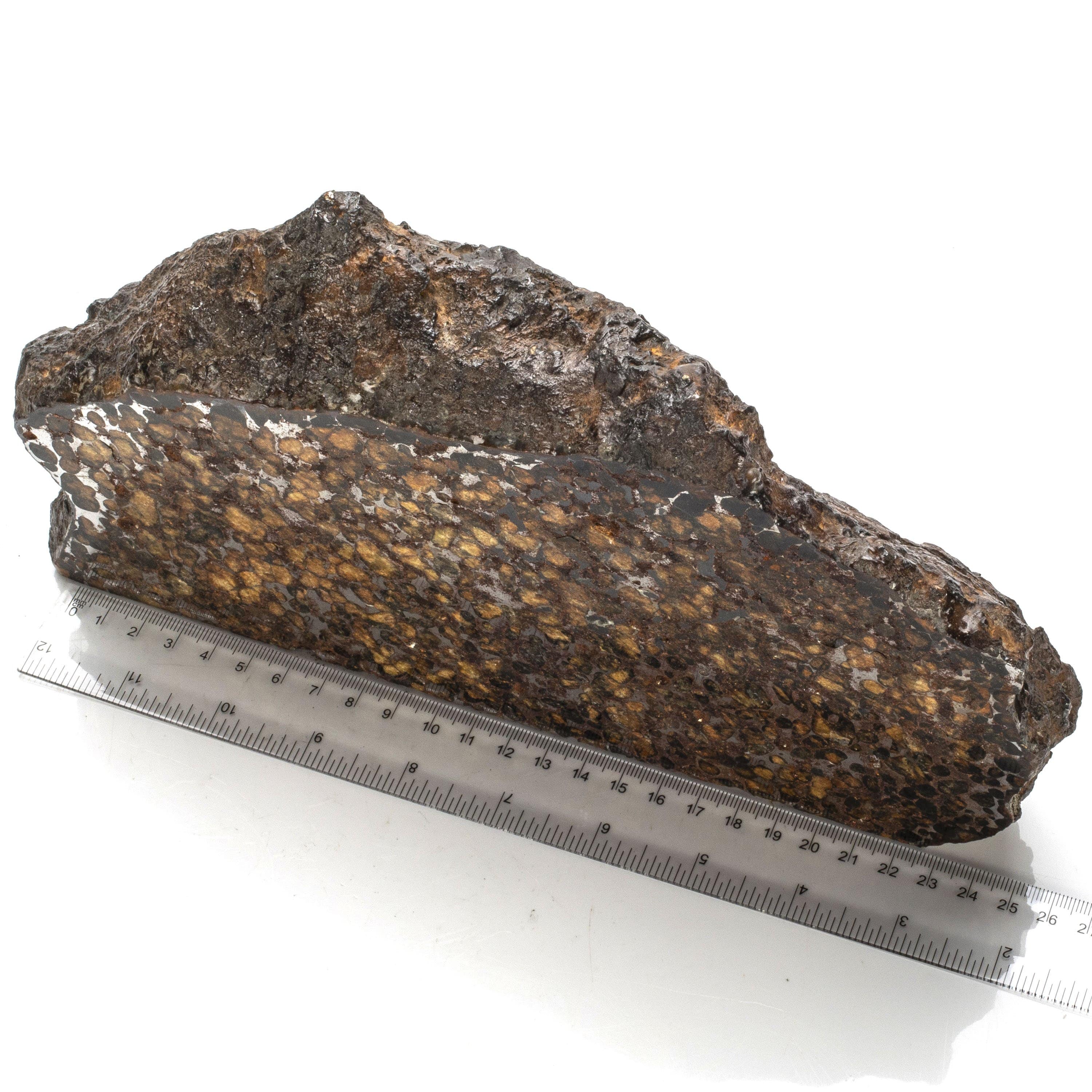 Kalifano Meteorites Natural Sericho Pallasite Meteorite from Kenya - 775 grams MTSER150000.001