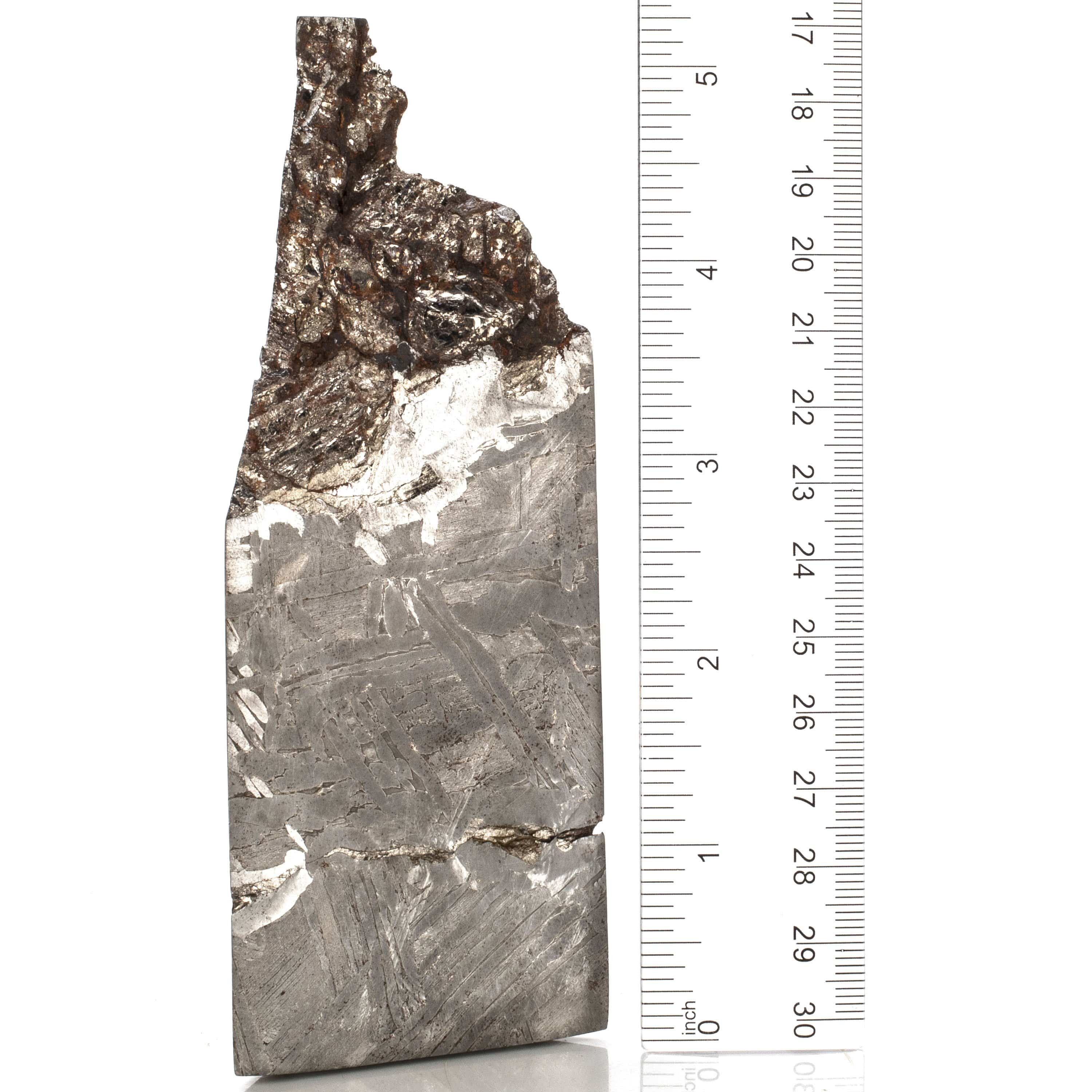 Kalifano Meteorites Natural Seymchan Meteorite from Russia - 580 grams / 5.25‚Äù MTS21000.001