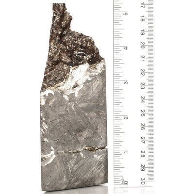 Kalifano Meteorites Natural Seymchan Meteorite from Russia - 580 grams / 5.25” MTS21000.001