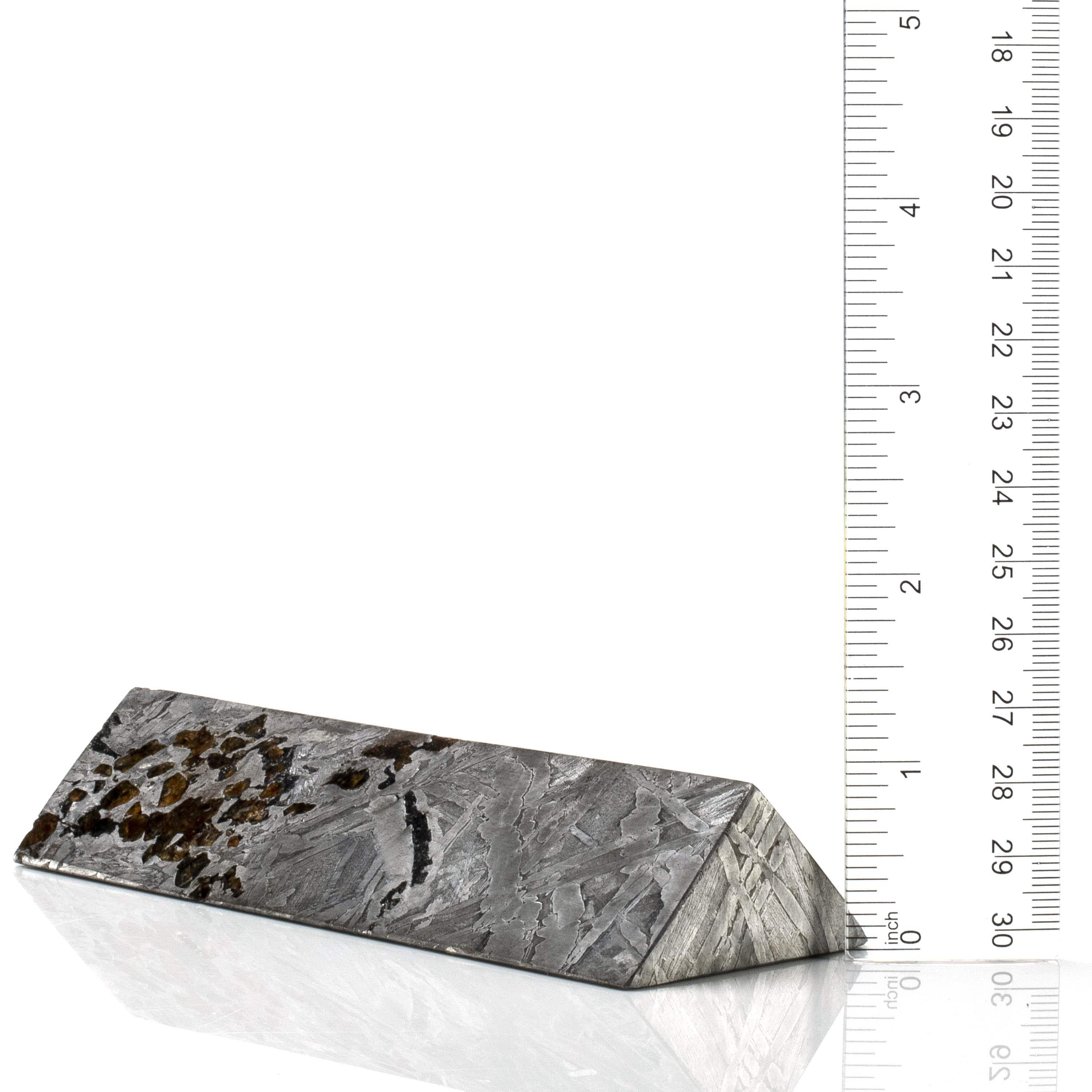 Kalifano Meteorites Natural Seymchan Meteorite from Russia - 650 grams / 5.5‚Äù MTS24000.001