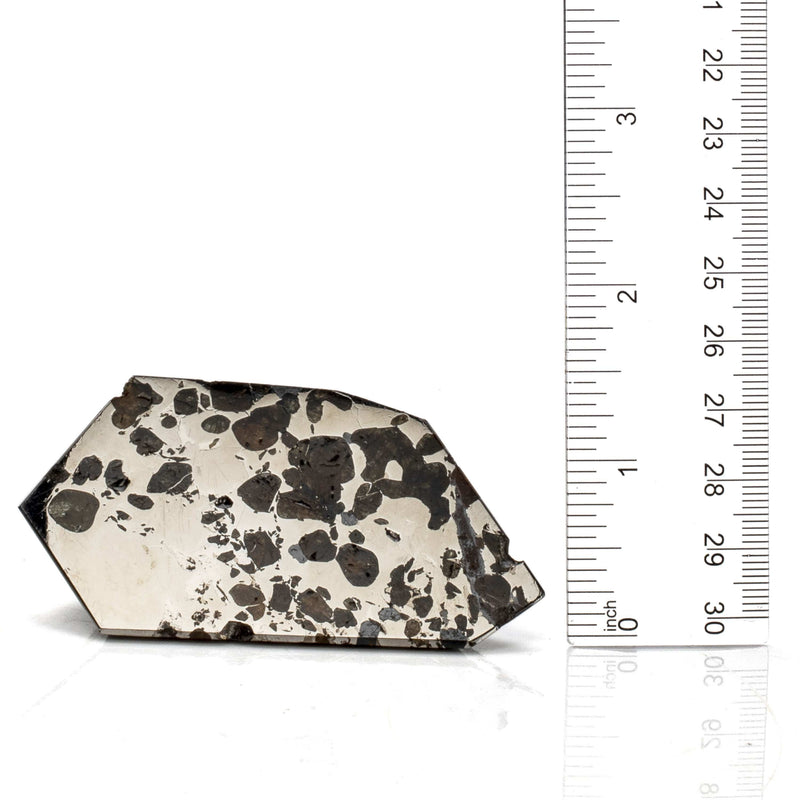 Kalifano Meteorites Natural Seymchan Pallasite Meteorite from Russia - 155 grams / 3.25” MTSP12000.001
