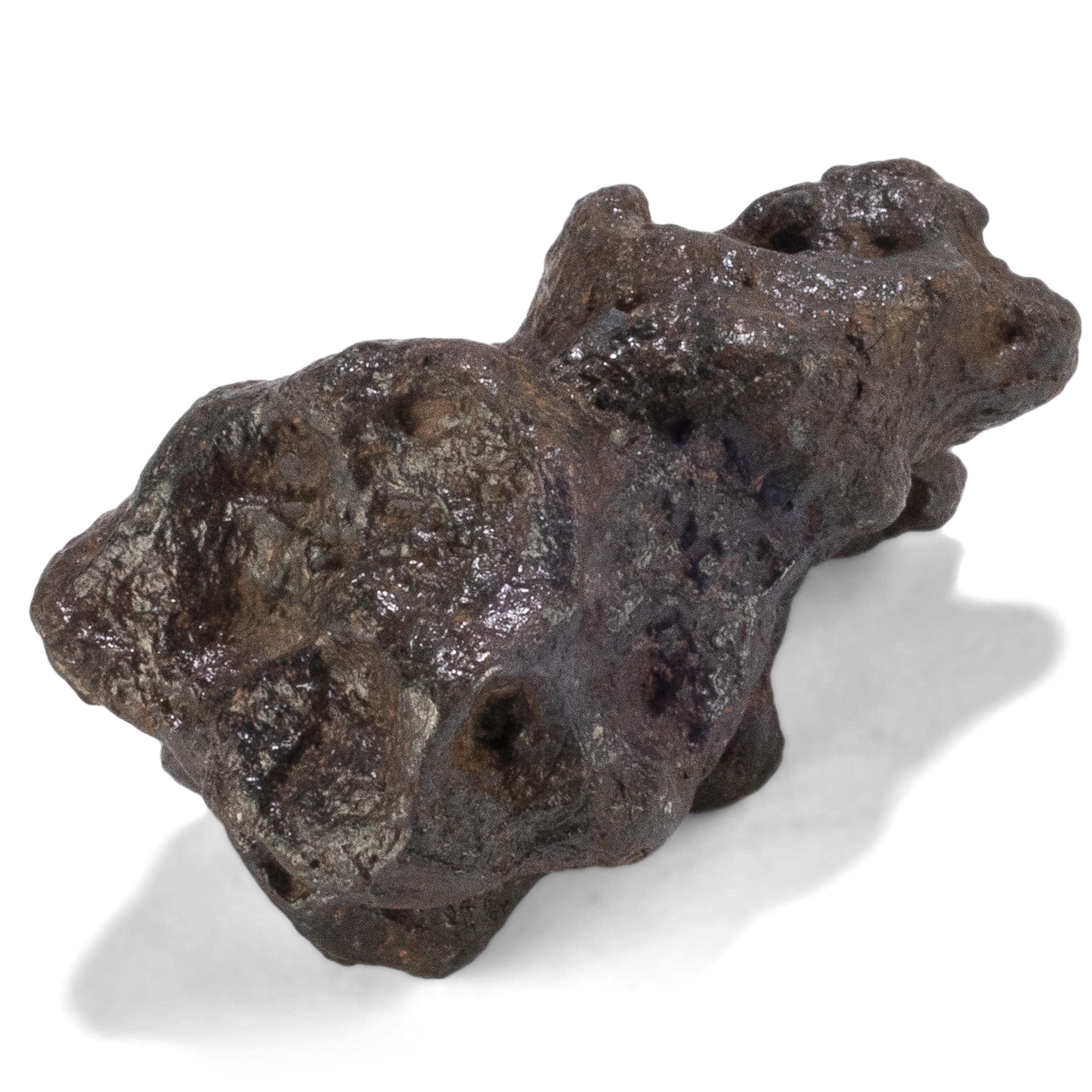 Kalifano Meteorites Sericho Iron Meteorite discovered in Kenya - 15 grams MTCHO300