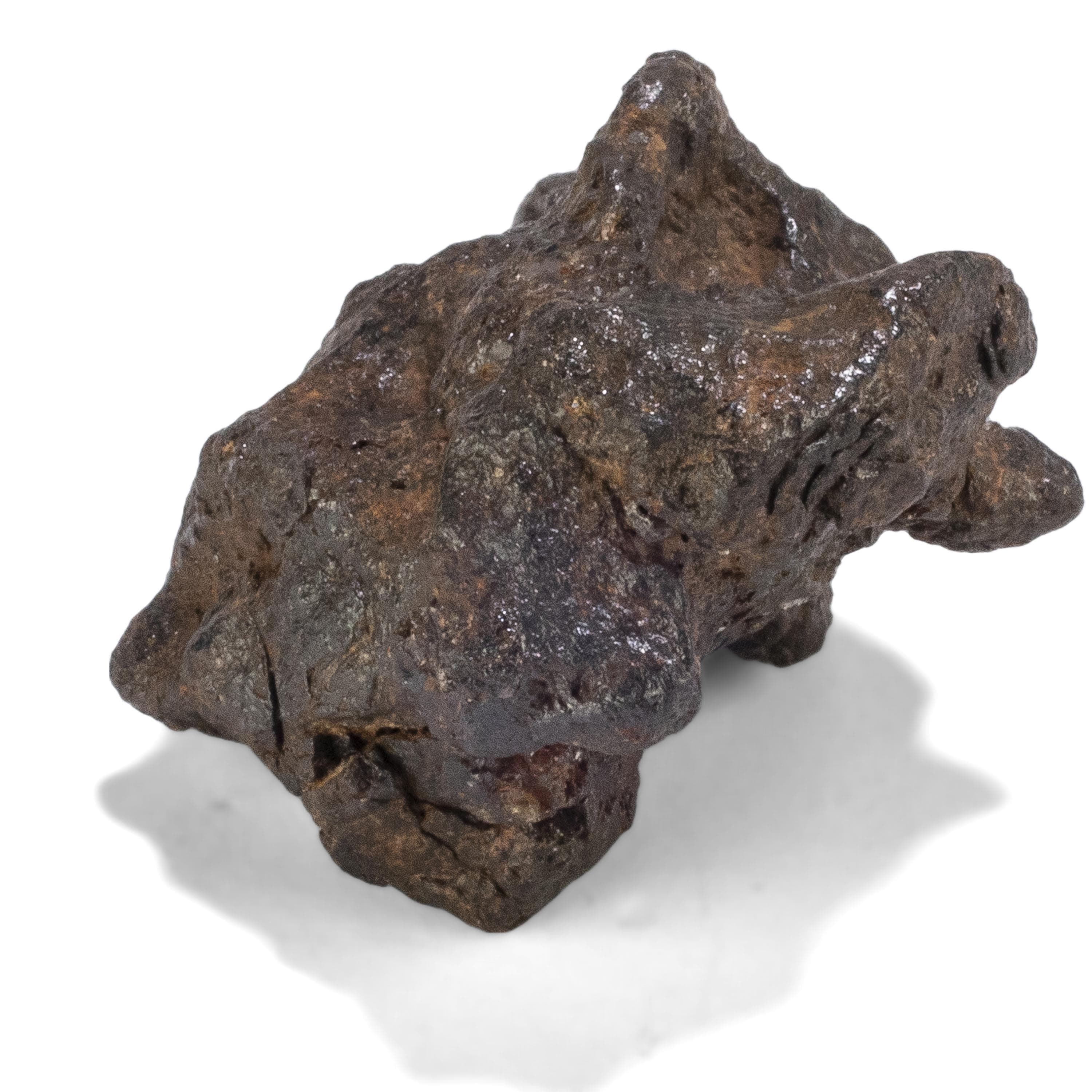 Kalifano Meteorites Sericho Iron Meteorite discovered in Kenya - 20 grams MTCHO400