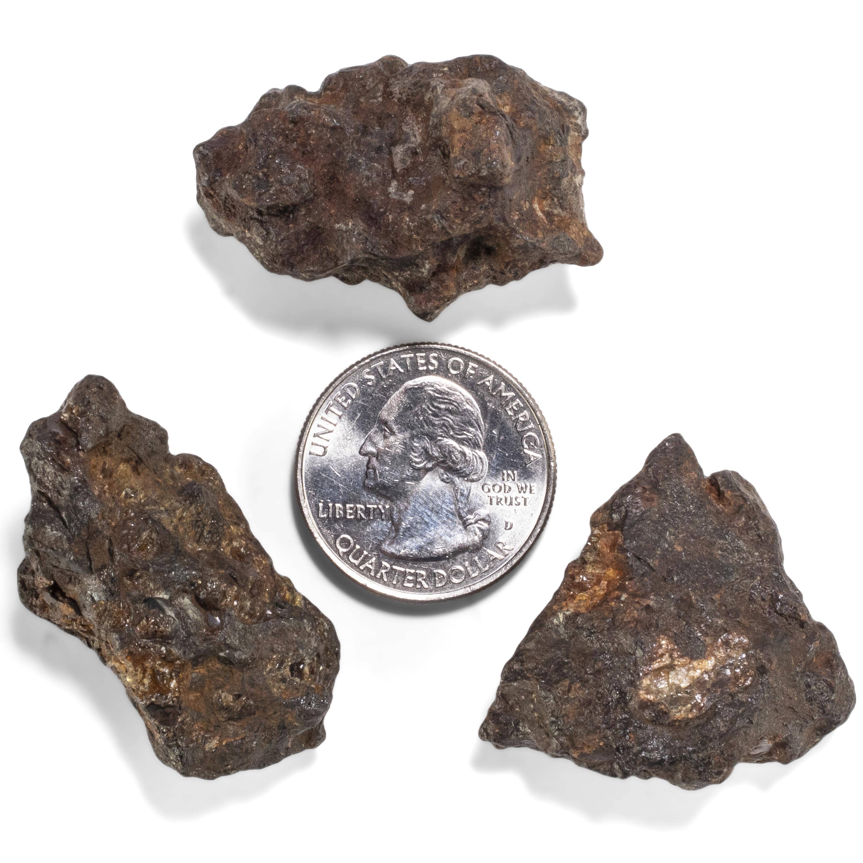 Kalifano Meteorites Sericho Iron Meteorite discovered in Kenya - 31 grams MTCHO600