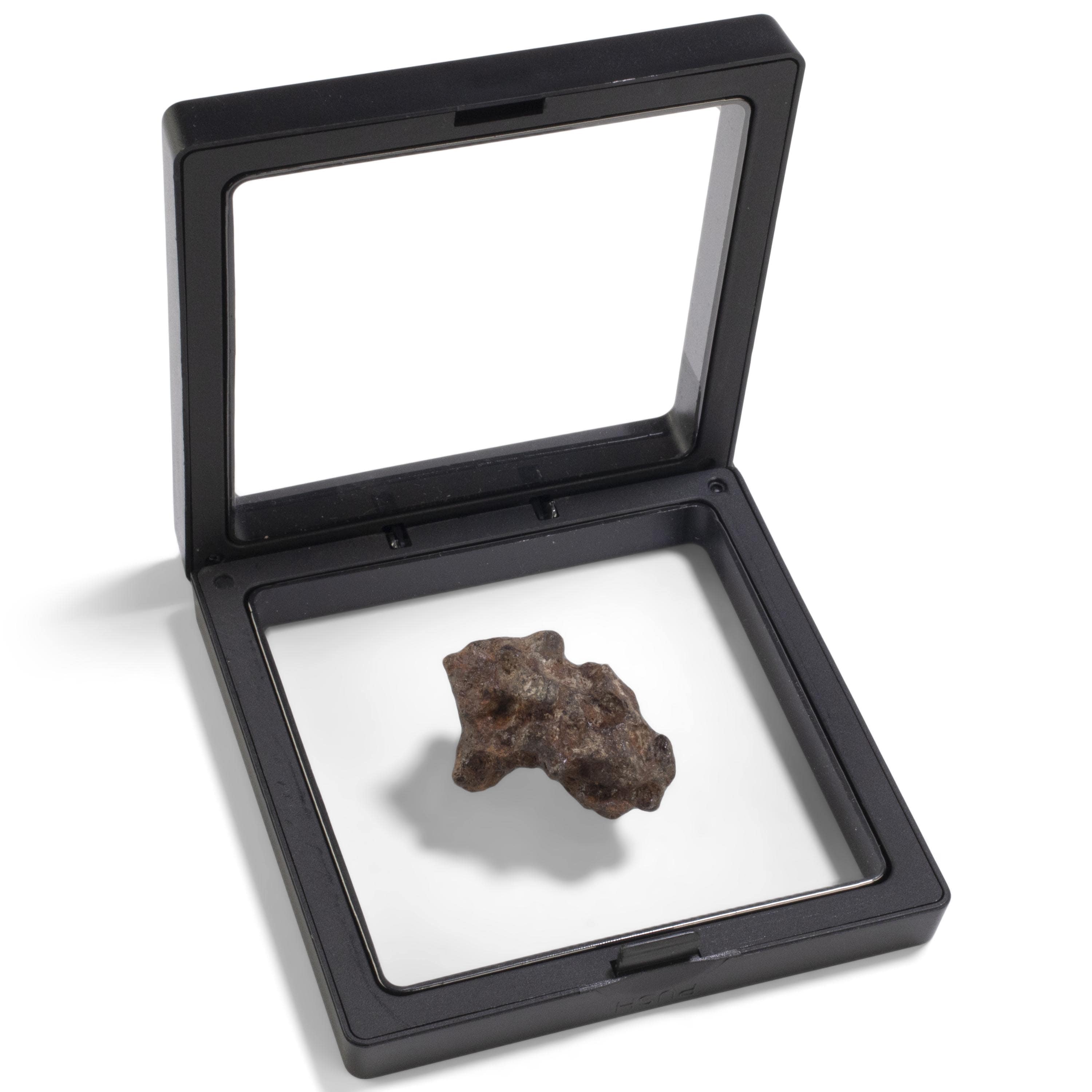 Kalifano Meteorites Sericho Iron Meteorite discovered in Kenya - 31 grams MTCHO600