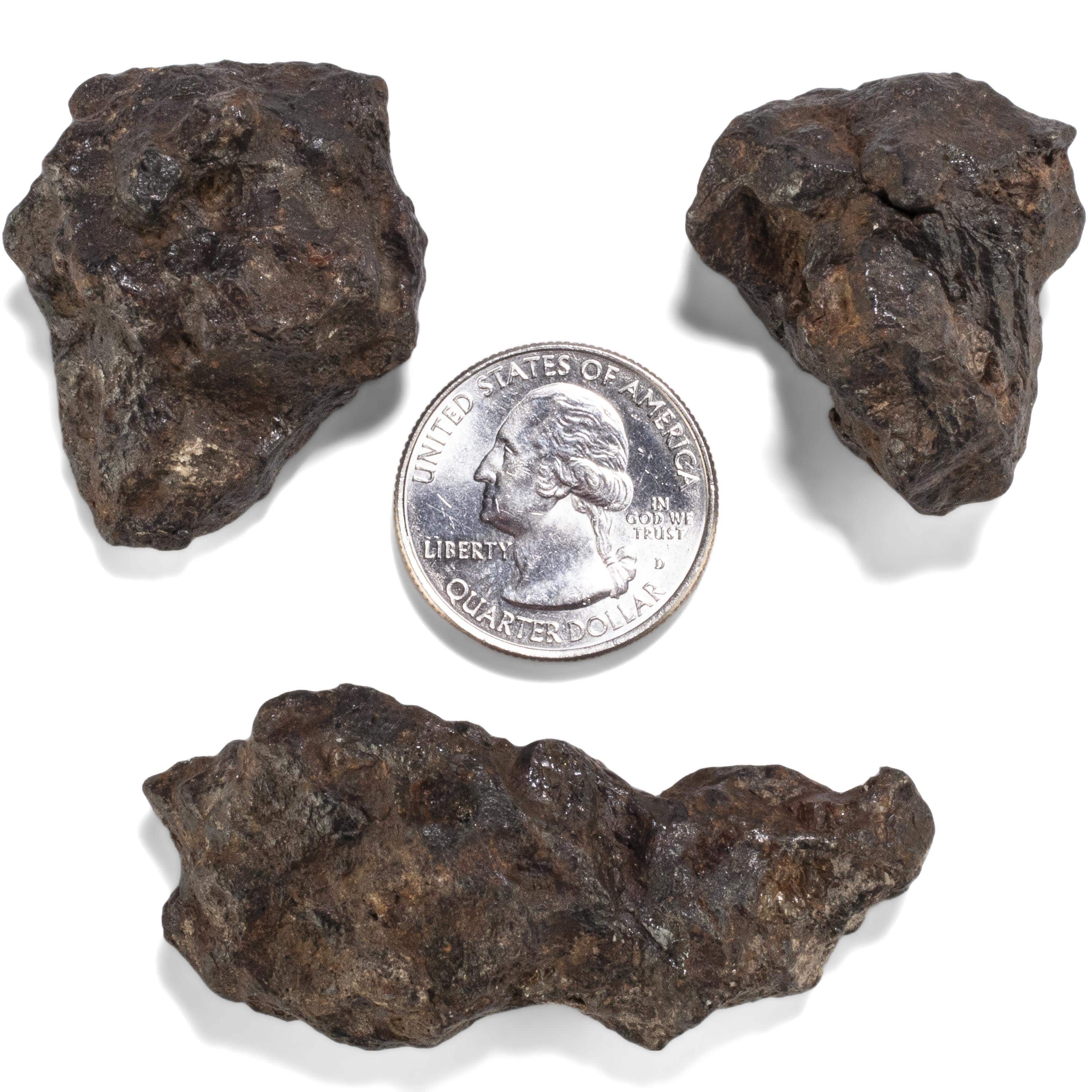 Kalifano Meteorites Sericho Iron Meteorite discovered in Kenya - 45 grams MTCHO1000