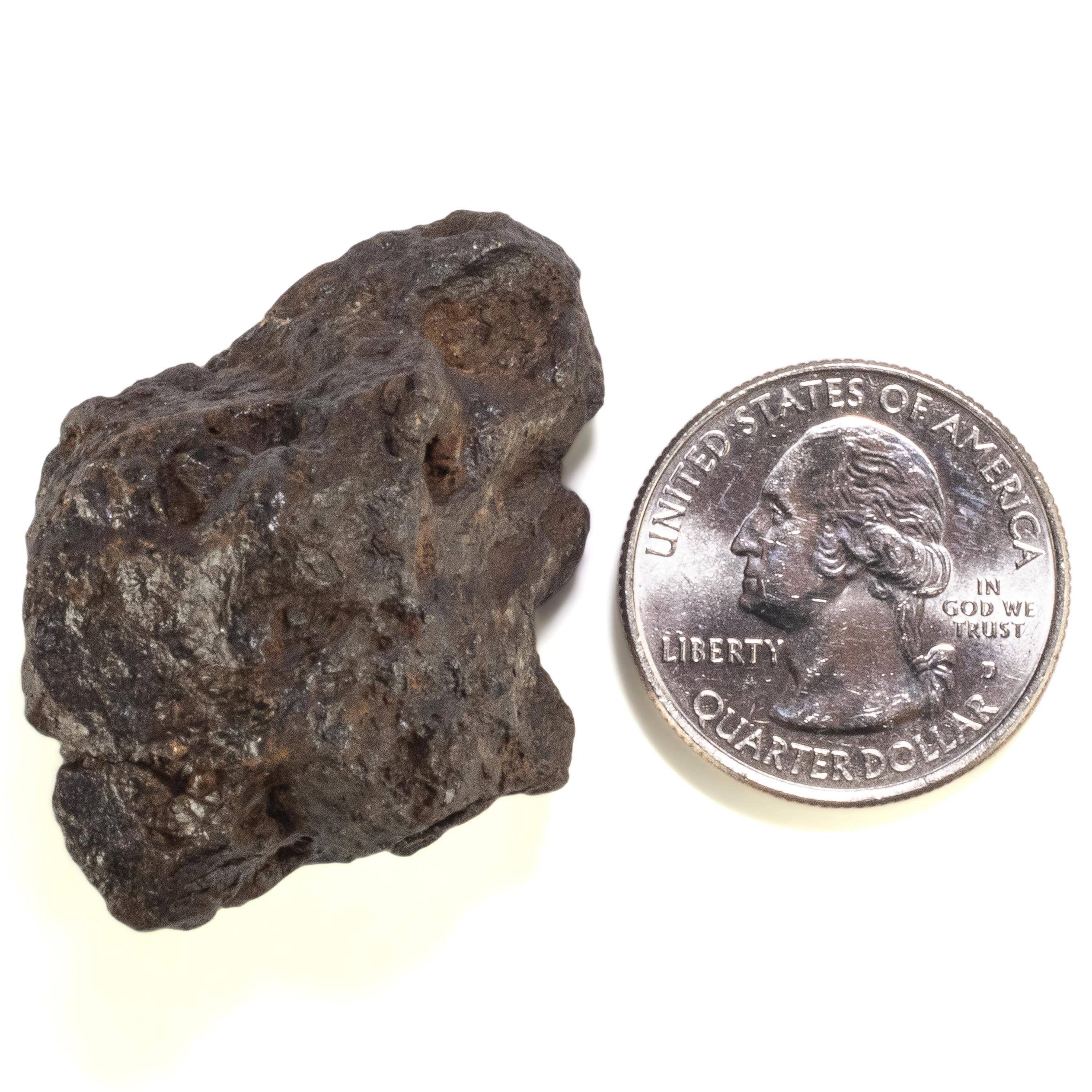 Kalifano Meteorites Sericho Iron Meteorite discovered in Kenya - 51.3 grams MTCHO900.004