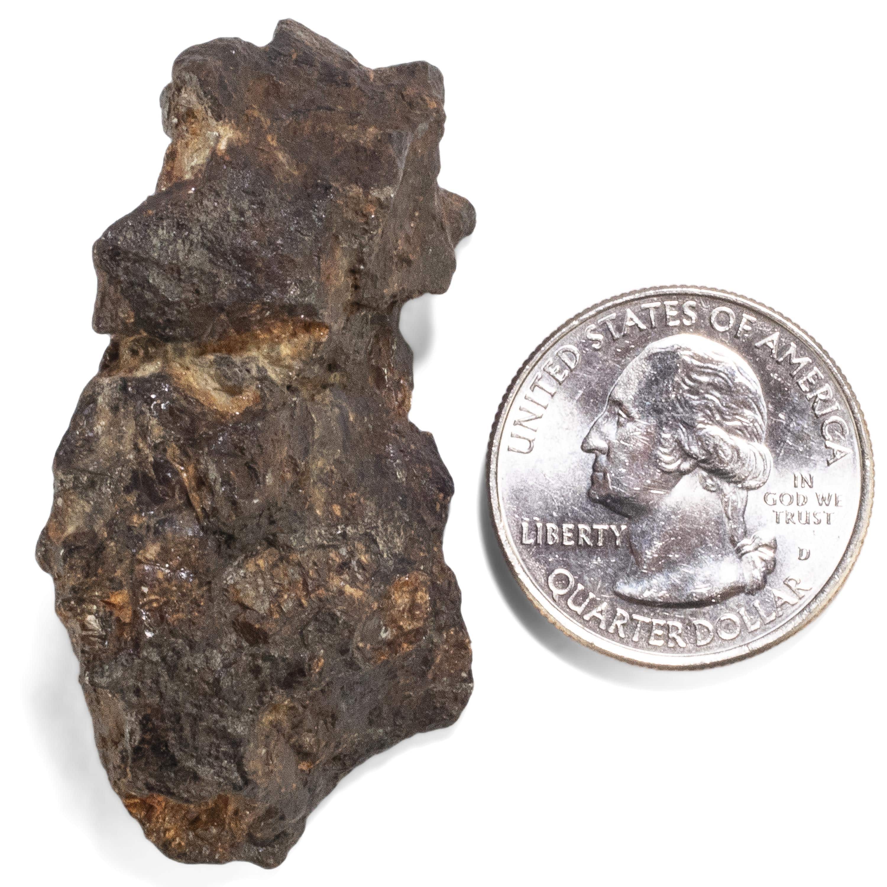 Kalifano Meteorites Sericho Iron Meteorite discovered in Kenya - 51.6 grams MTCHO900.002