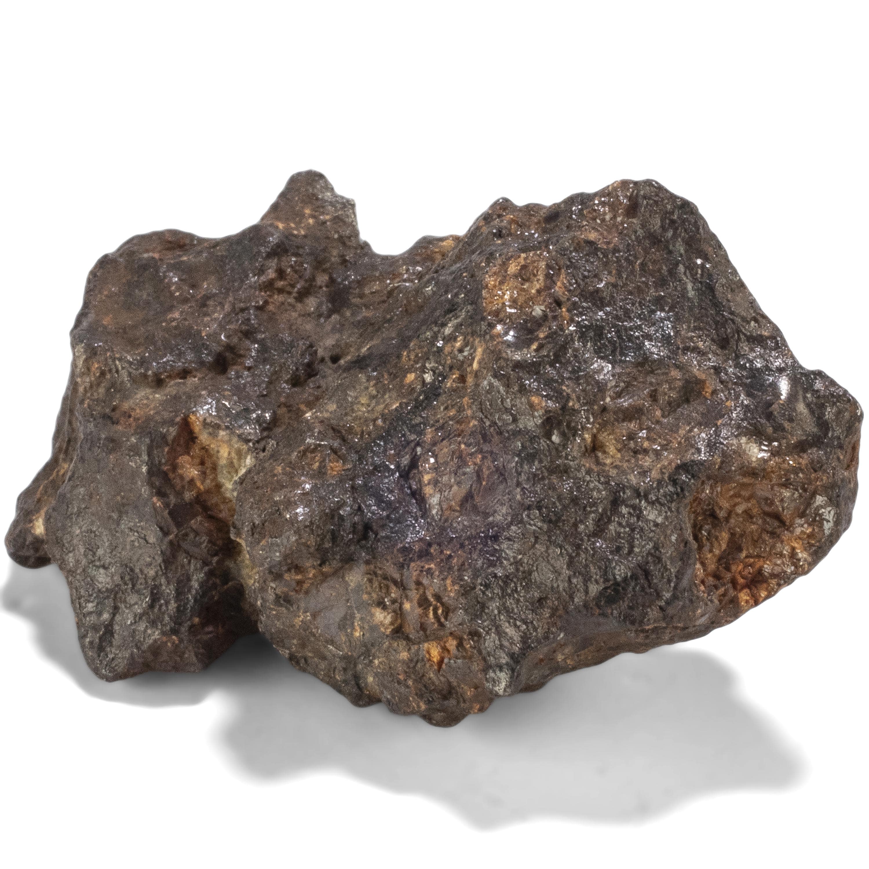 Kalifano Meteorites Sericho Iron Meteorite discovered in Kenya - 51.6 grams MTCHO900.002