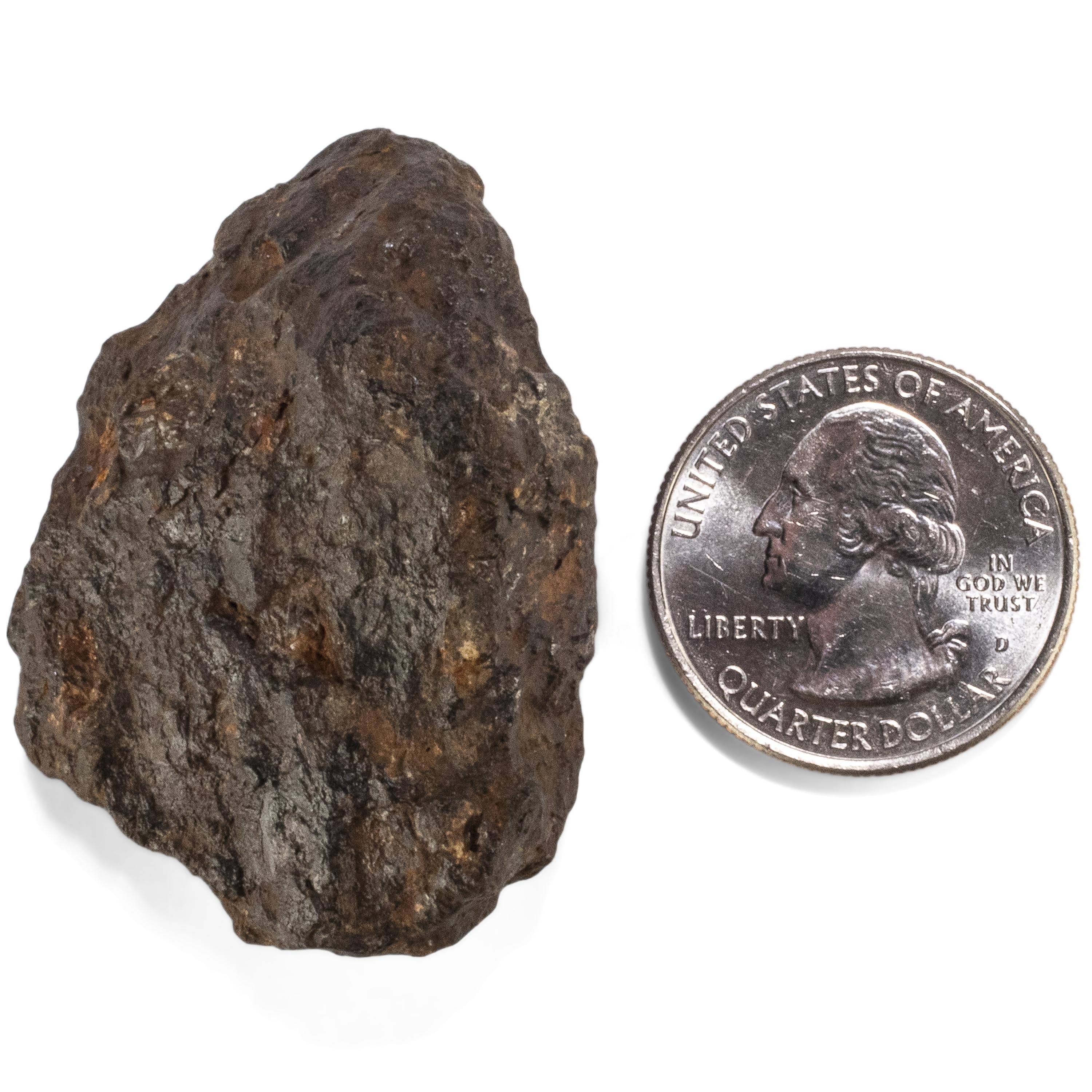 Kalifano Meteorites Sericho Iron Meteorite discovered in Kenya - 56.4 grams MTCHO1000.001