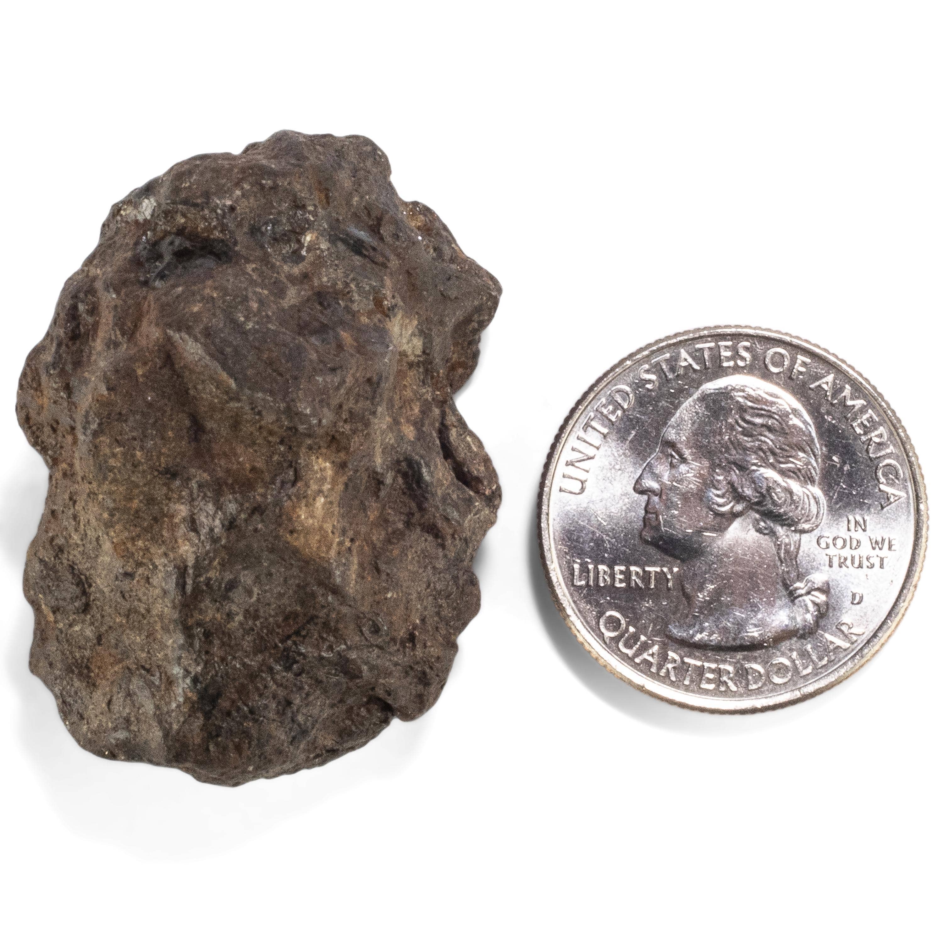 Kalifano Meteorites Sericho Iron Meteorite discovered in Kenya - 61.3 grams MTCHO1200.004