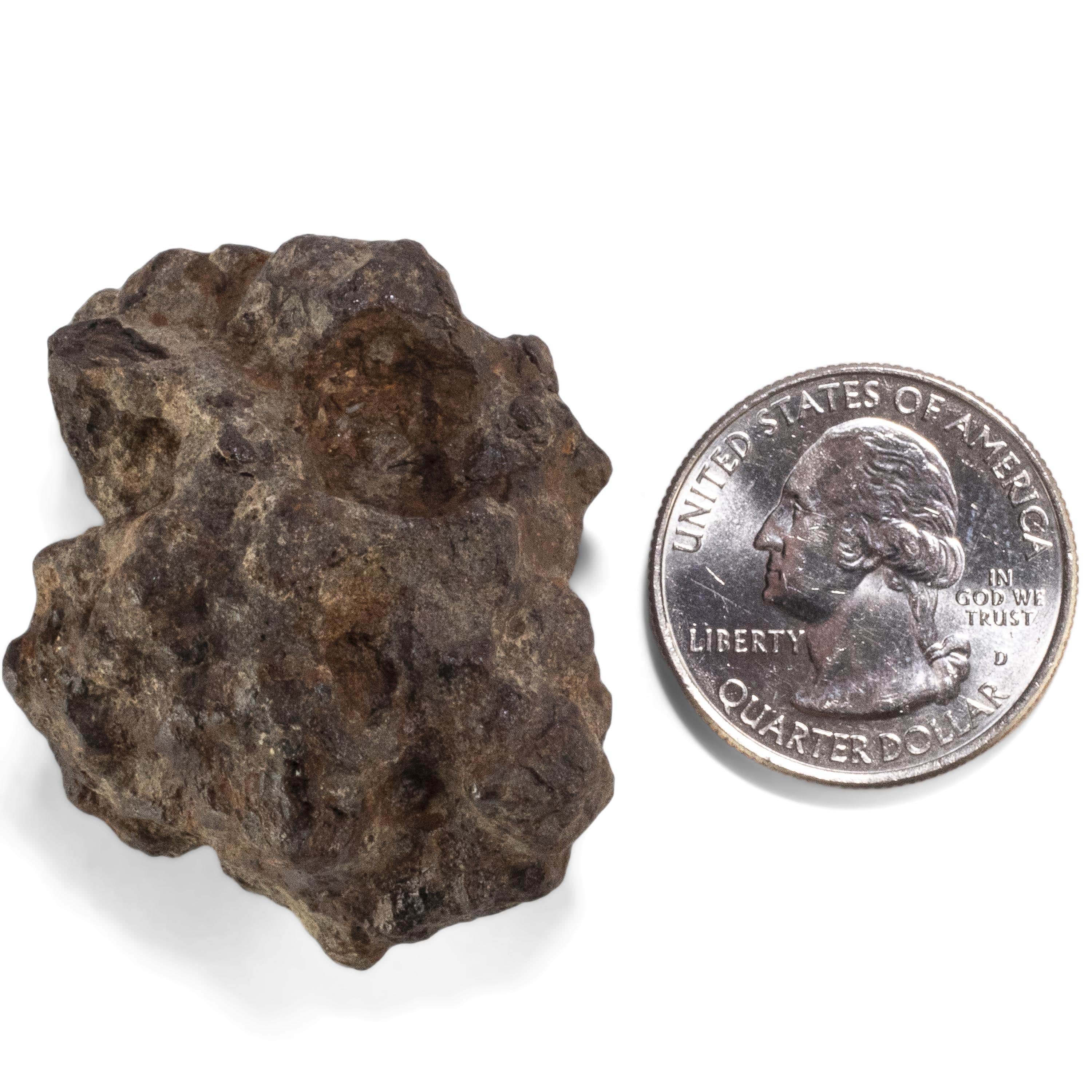 Kalifano Meteorites Sericho Iron Meteorite discovered in Kenya - 62.3 grams MTCHO1200.002