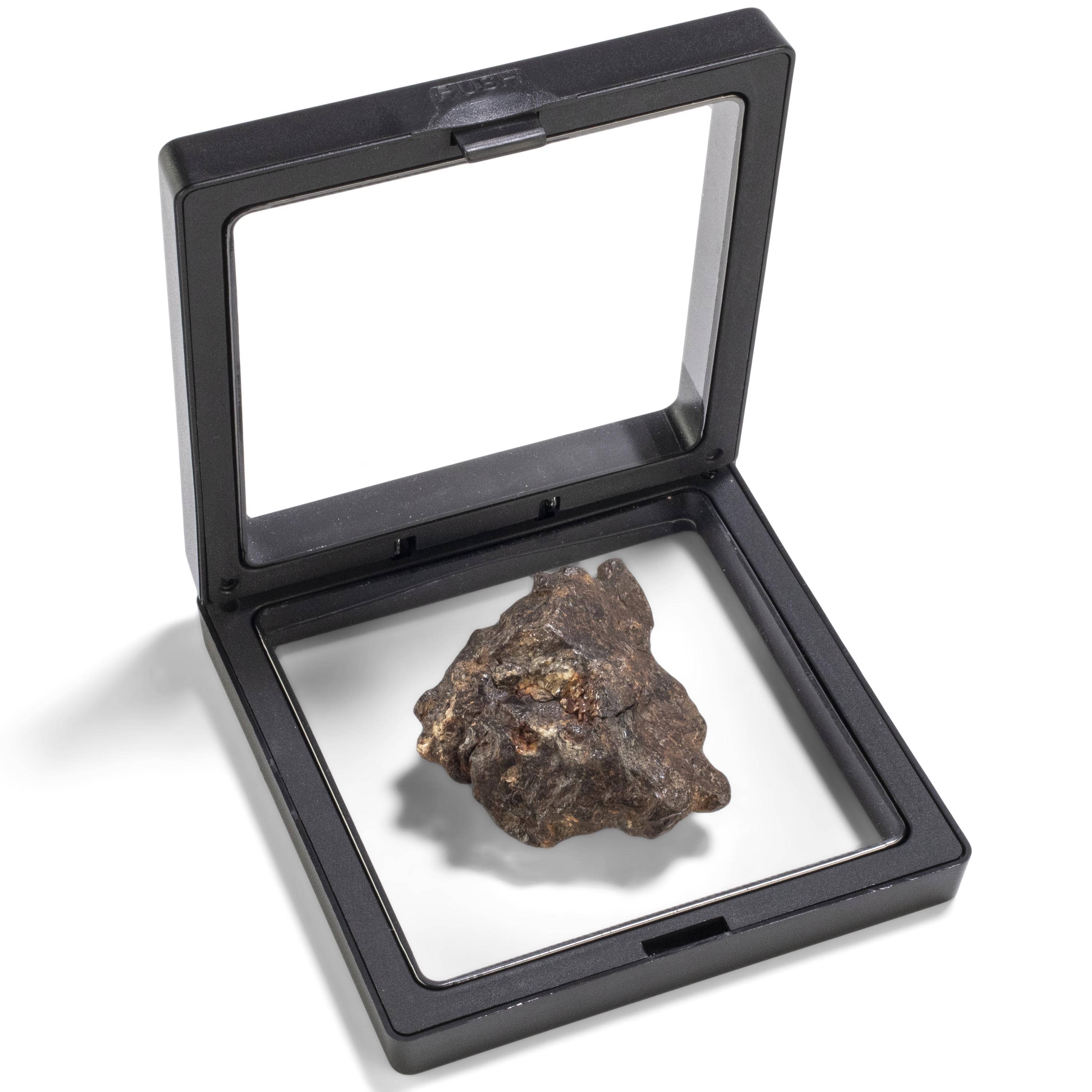 Kalifano Meteorites Sericho Iron Meteorite discovered in Kenya - 62.8 grams MTCHO1200.007