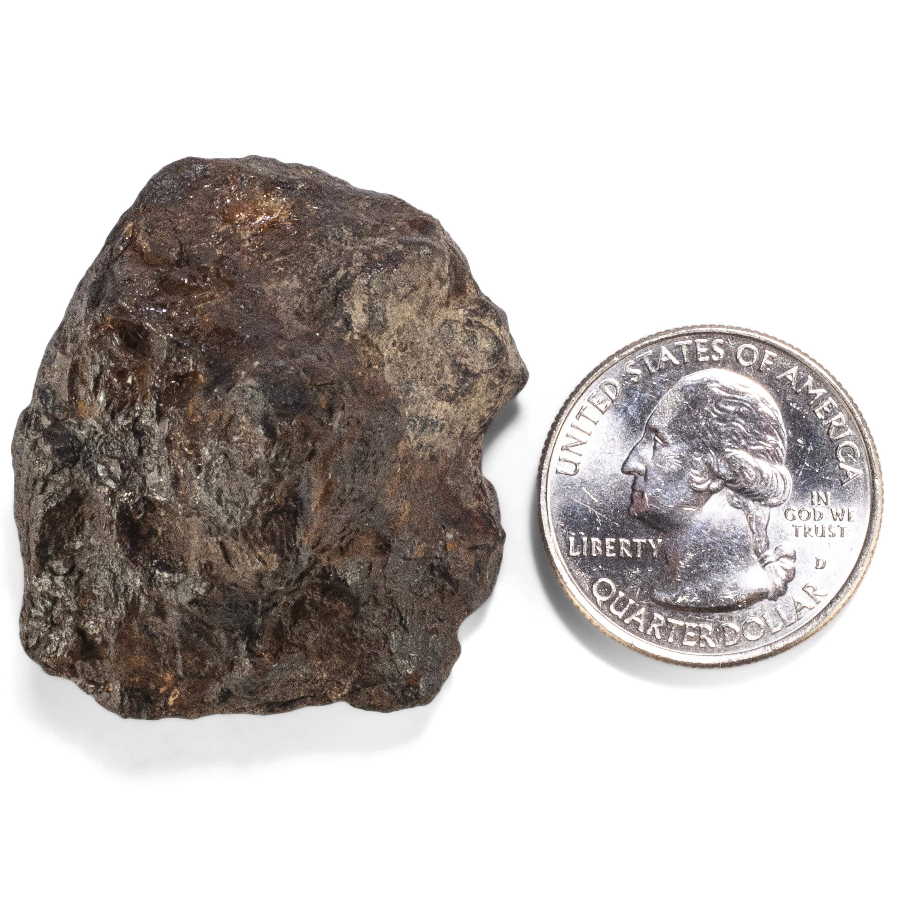 Kalifano Meteorites Sericho Iron Meteorite discovered in Kenya - 67 grams MTCHO1200.001