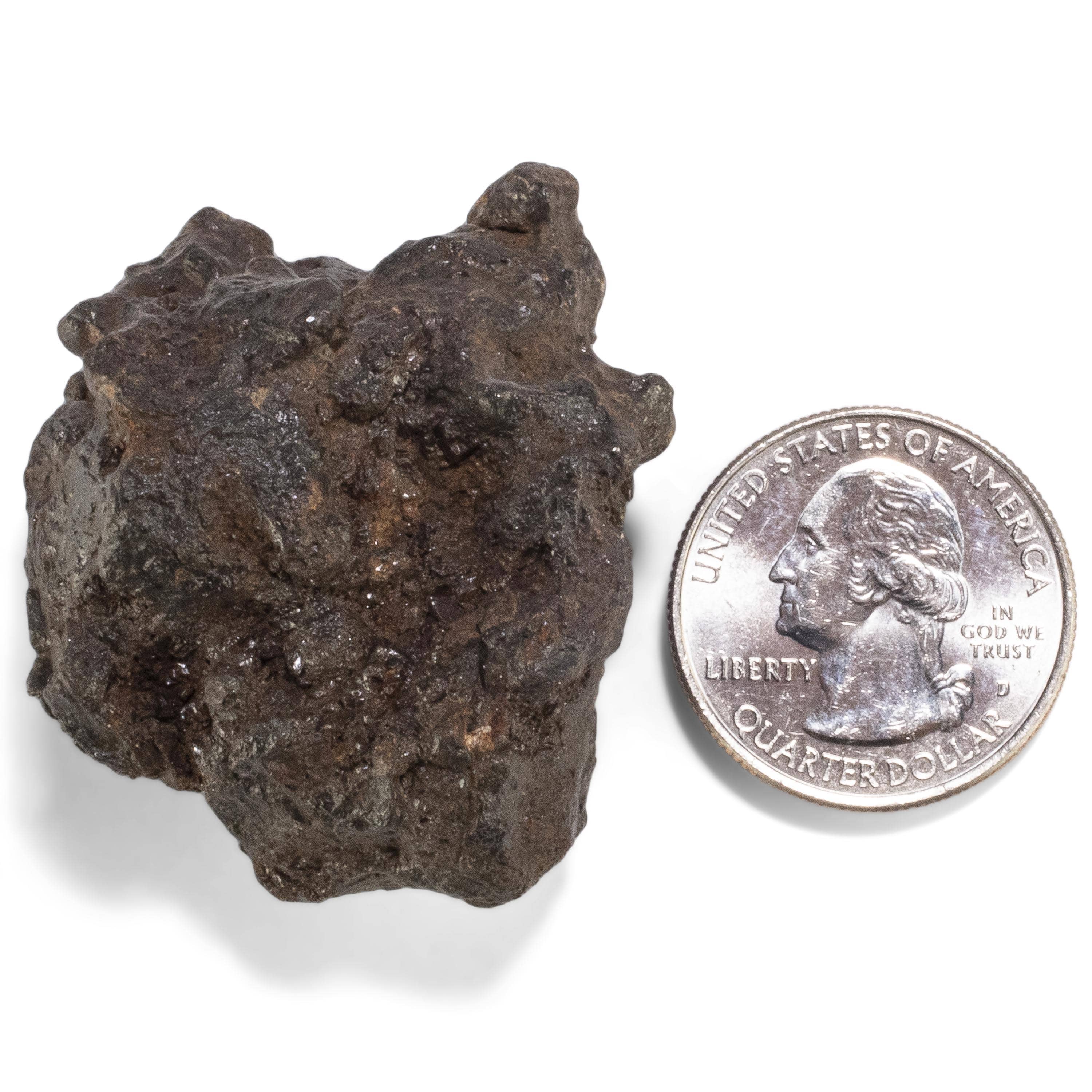 Kalifano Meteorites Sericho Iron Meteorite discovered in Kenya - 76.2 grams MTCHO1600.003