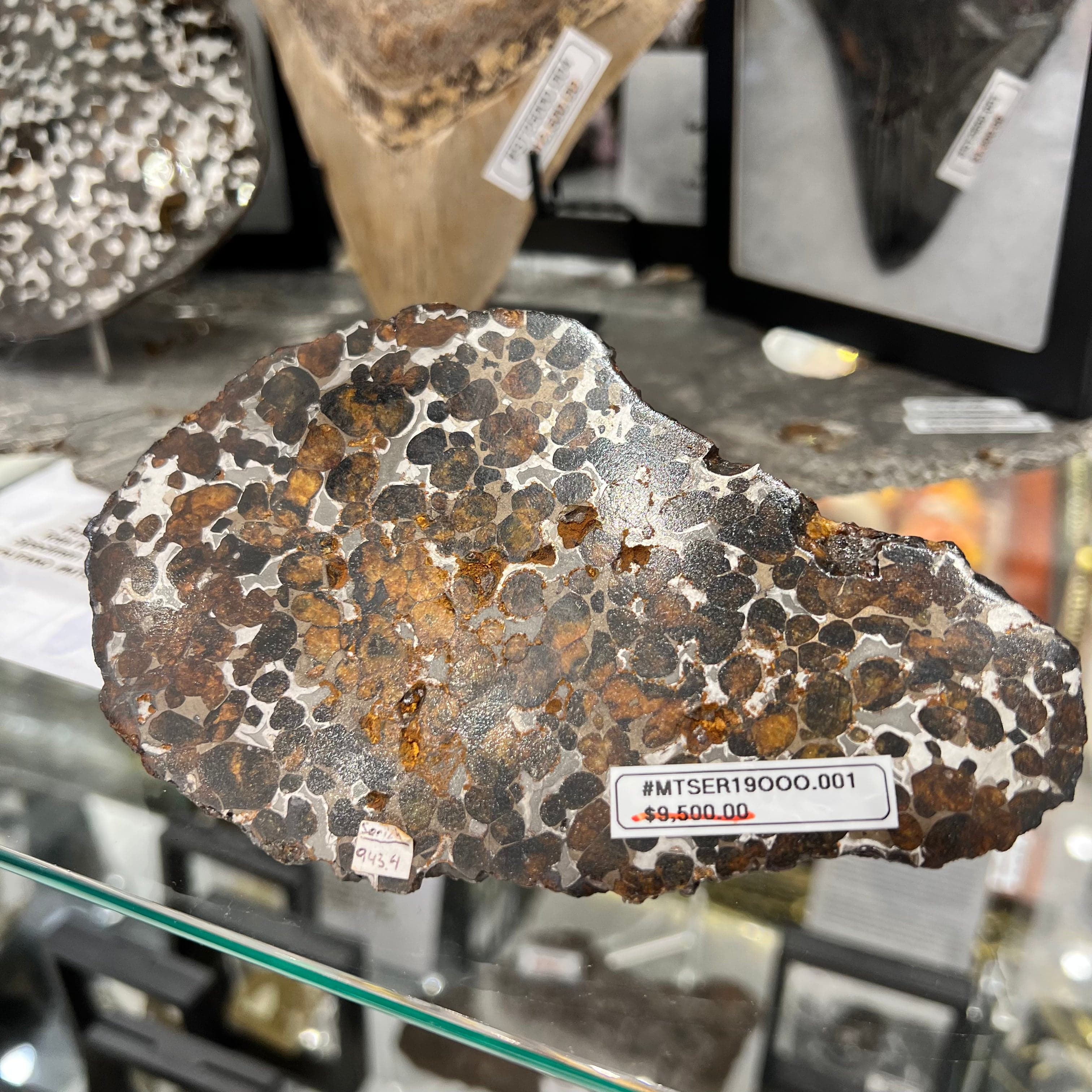 Kalifano Meteorites Sericho Pallasite Iron Meteorite  - 943 gramsFound in 2016 -  Kenya - TKW: 2,800 kg MTSER19000.001