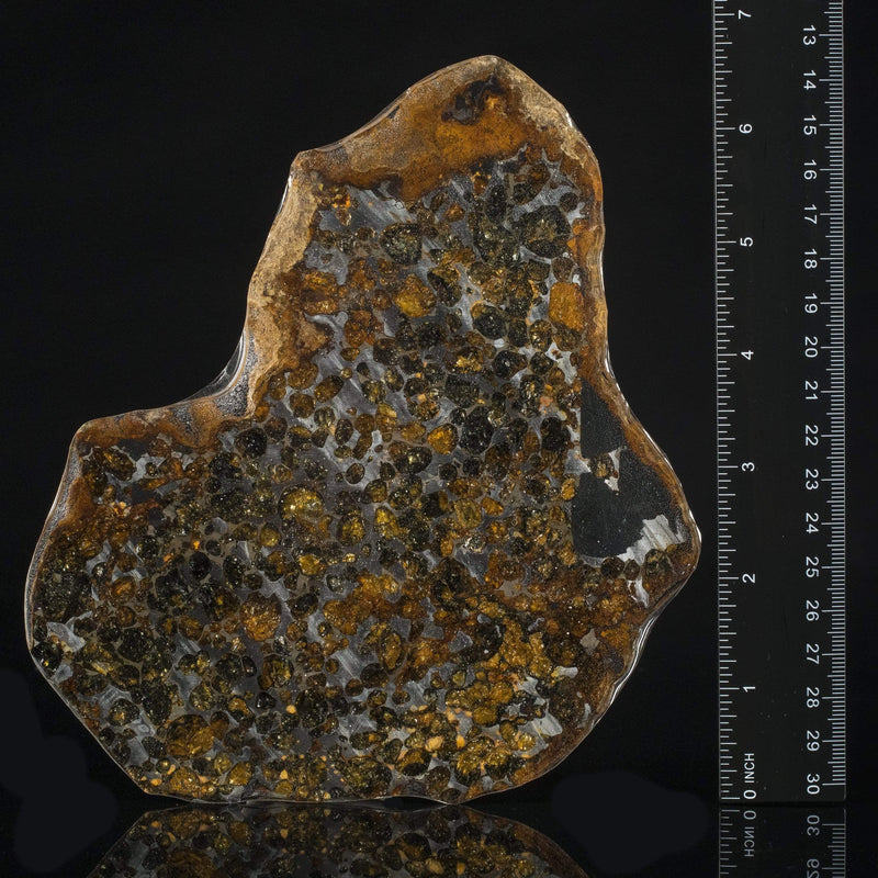 Kalifano Meterorites Authentic Kenya Sericho Pallasite Olivine Meteorite - 272 g MTSER5400.002