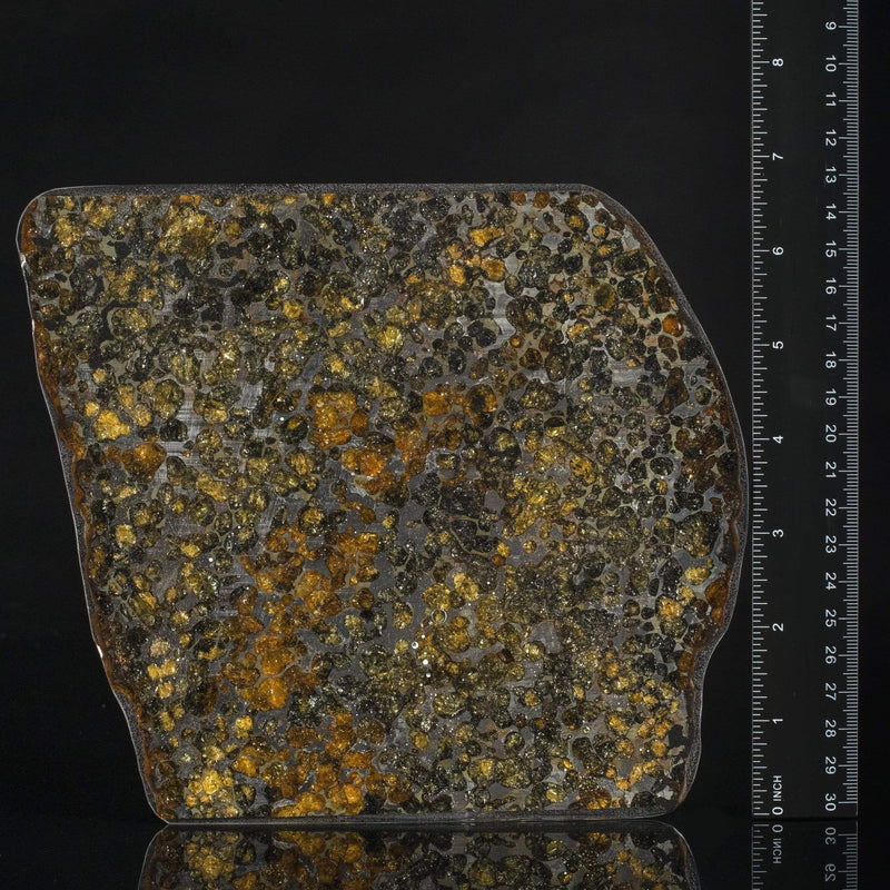 Kalifano Meterorites Authentic Kenya Sericho Pallasite Olivine Meteorite - 412 g MTSER8200.001