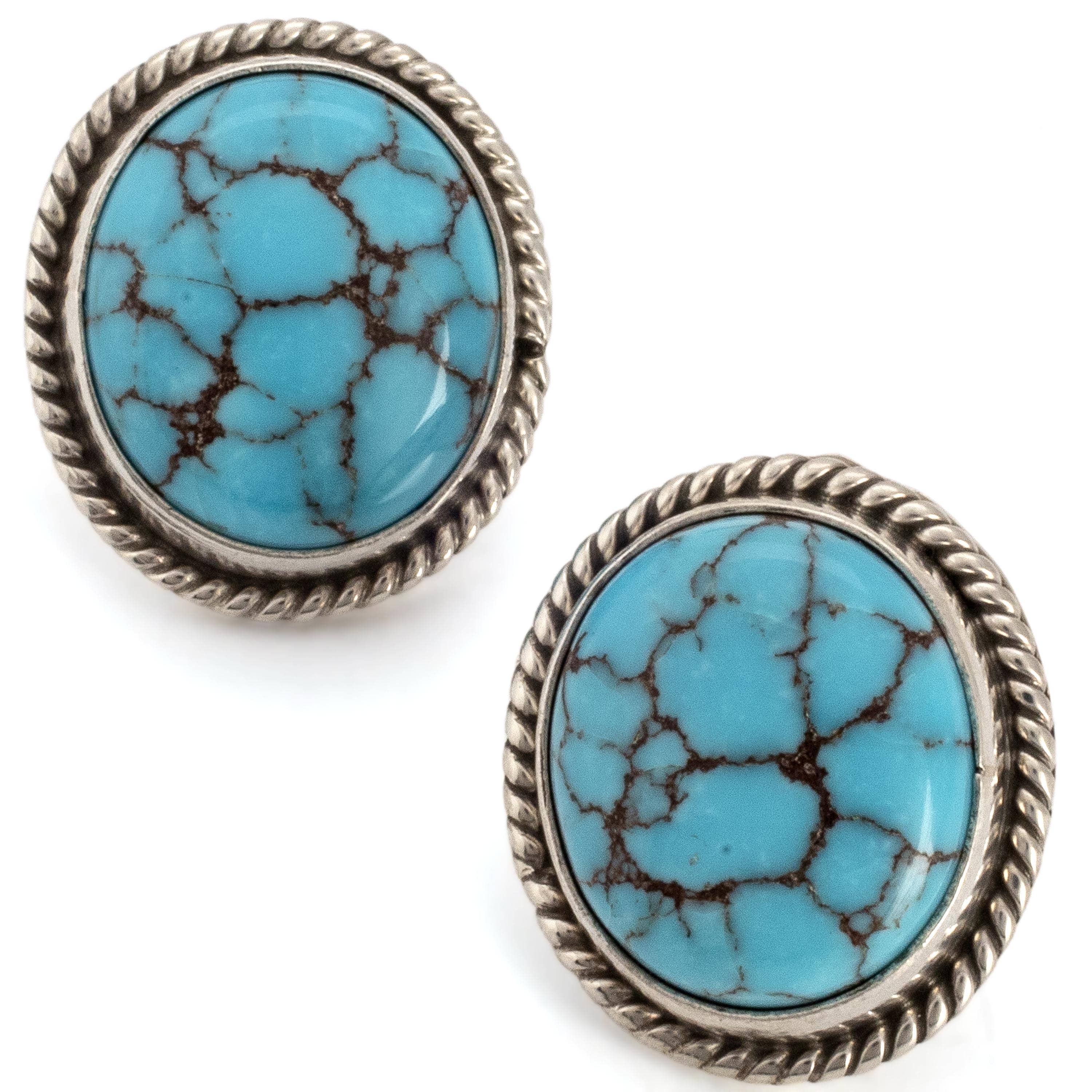 Kalifano Native American Jewelry Egyptian Turquoise Oval USA Native American Made Sterling Silver Earrings NAE800.005