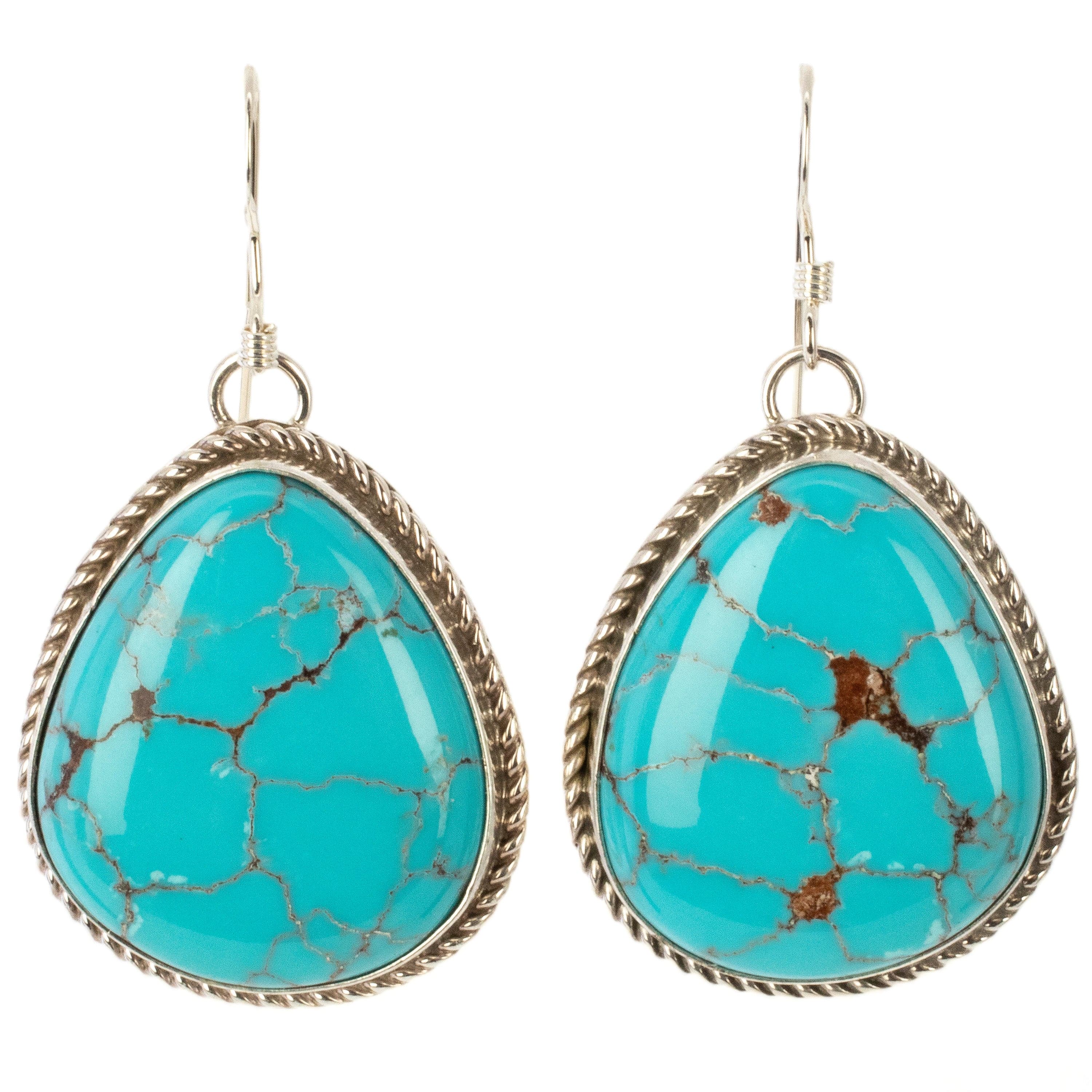 Kalifano Native American Jewelry Kingman Turquoise USA Native American Made 925 Sterling Silver Dangly Earrings with French Hook NAE600.014