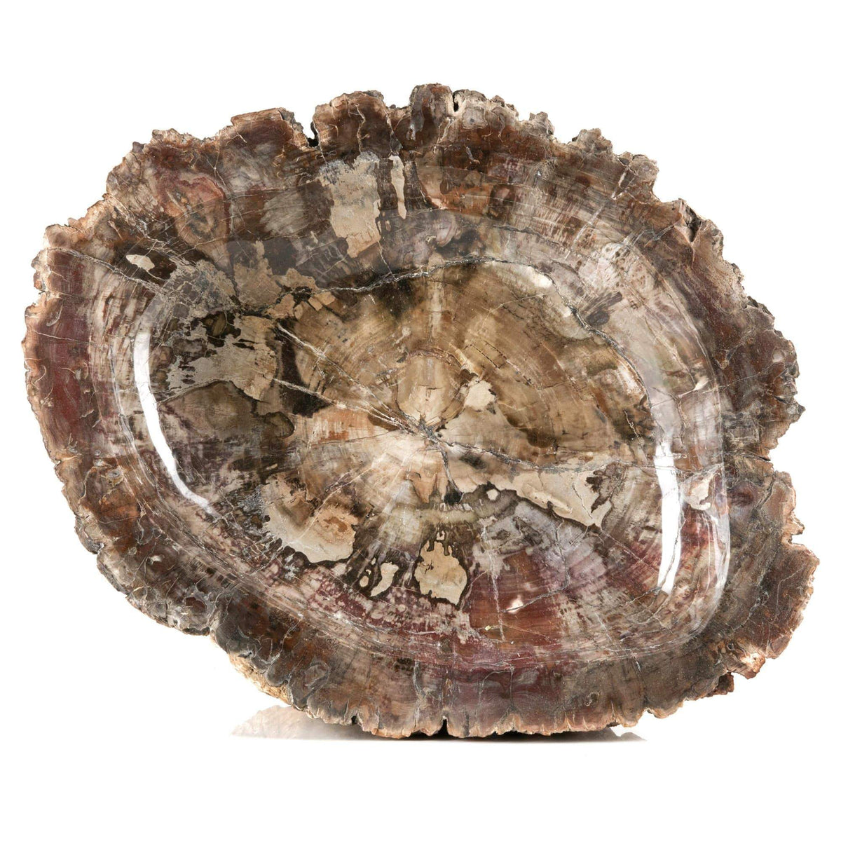 Kalifano Petrified Wood Natural Madagascar Petrified Wood Bowl PW7500.001