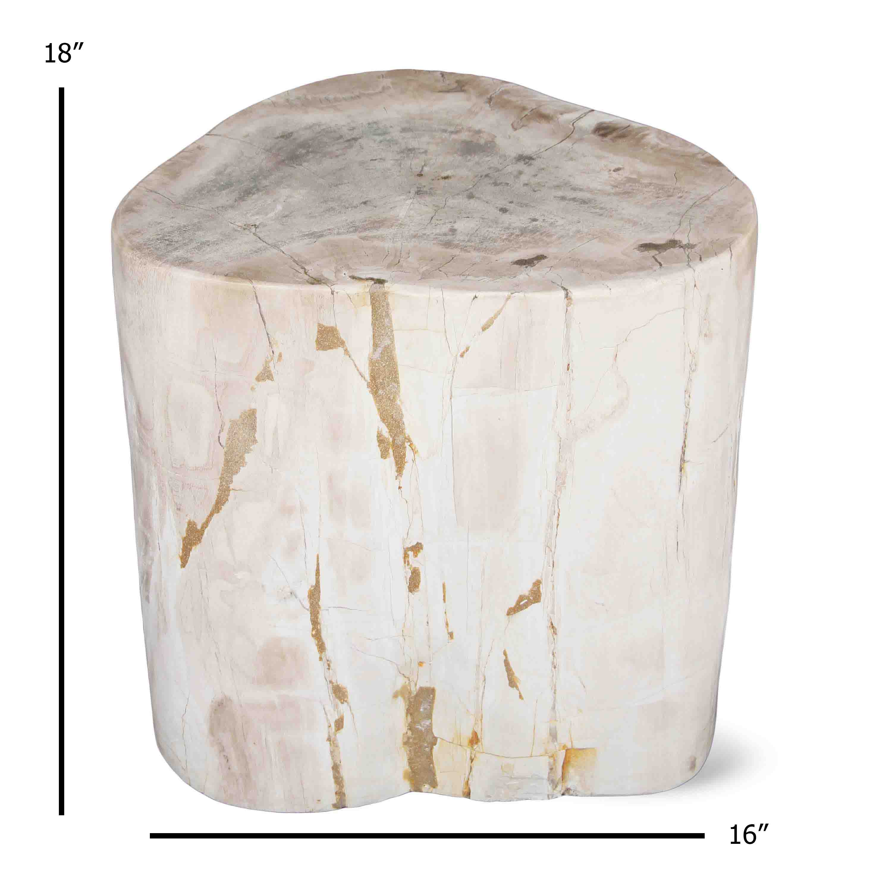 Kalifano Petrified Wood Natural Polished Petrified Wood Stool from Indonesia - 18" / 227 lbs PWS4100.001