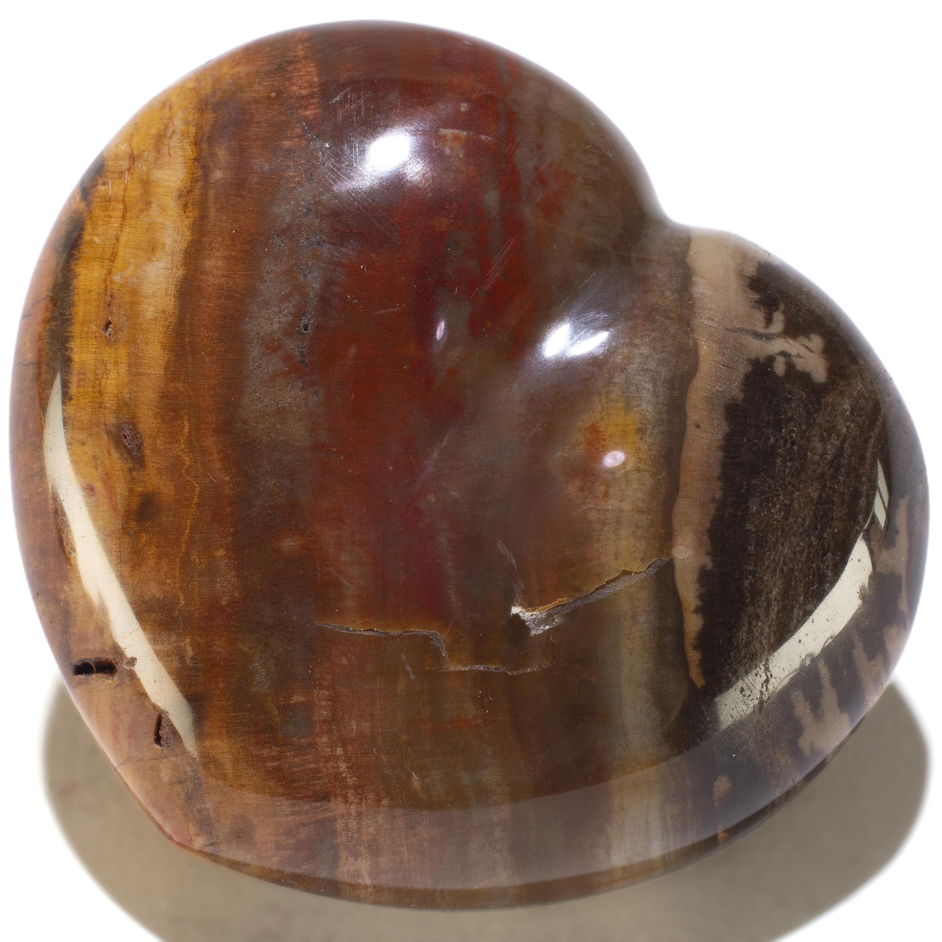 KALIFANO Petrified Wood Petrified Wood Gemstone Heart Carving 170g / 3in. GH200-PW