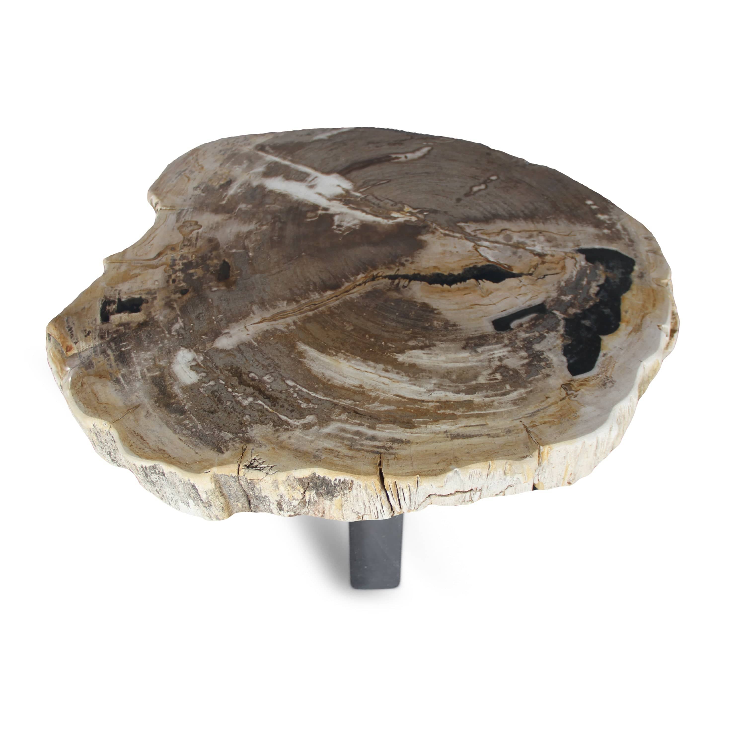 Kalifano Petrified Wood Petrified Wood Round Slab Coffee Table from Indonesia - 31" / 172 lbs PWT6400.003