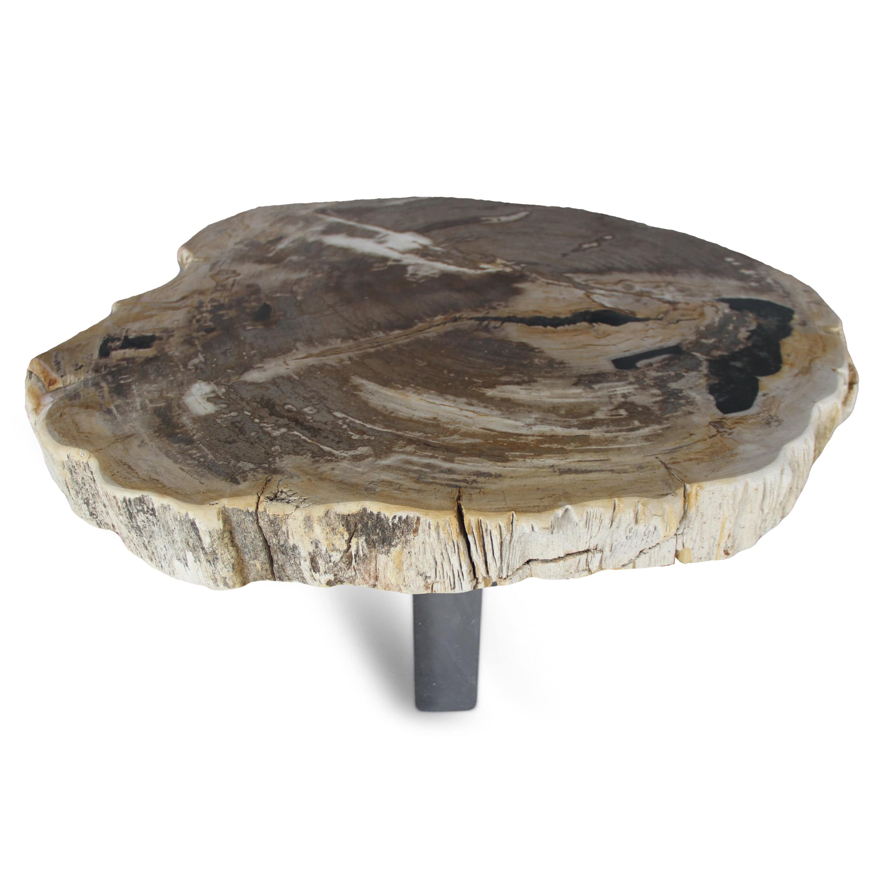 Kalifano Petrified Wood Petrified Wood Round Slab Coffee Table from Indonesia - 31" / 172 lbs PWT6400.003