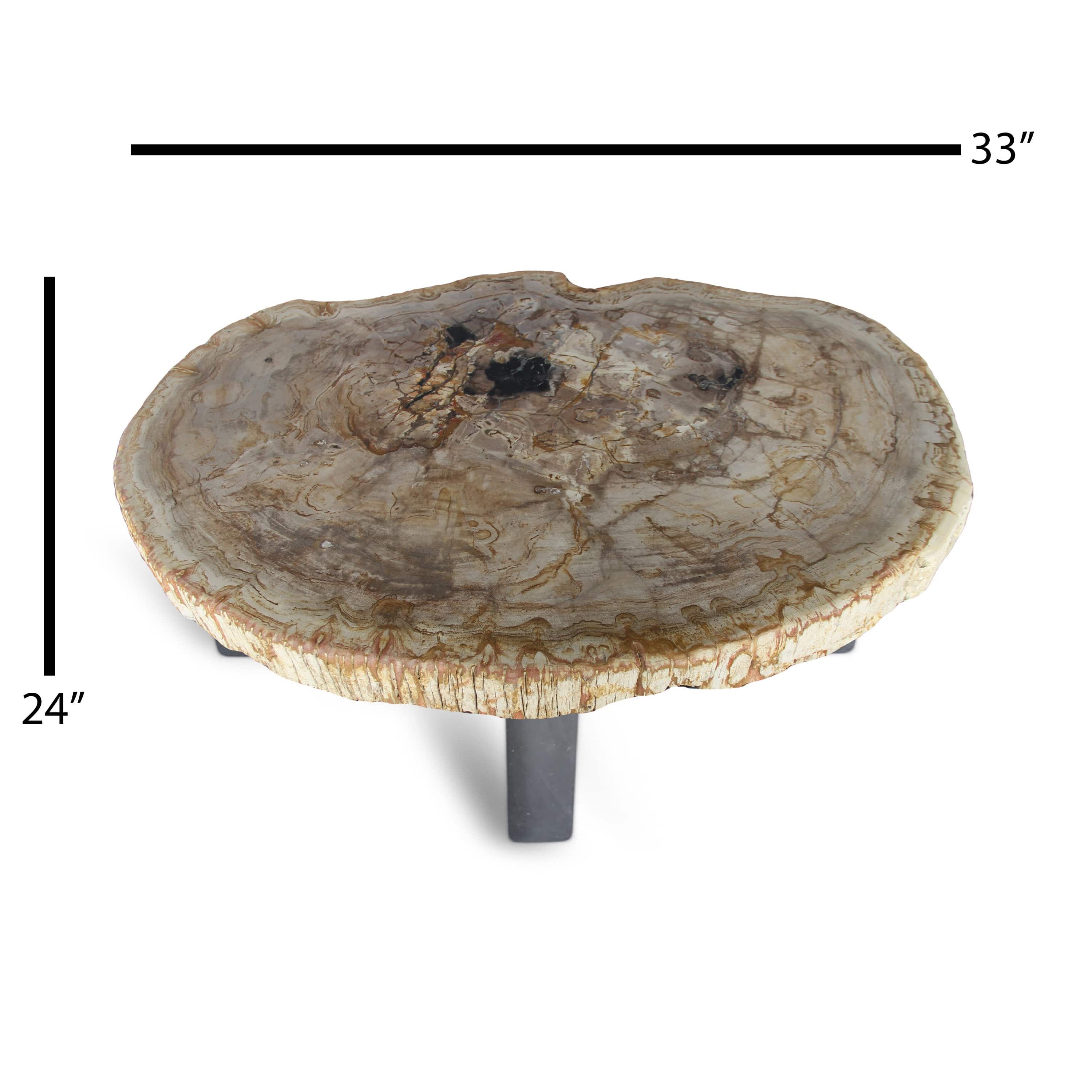 Kalifano Petrified Wood Petrified Wood Round Slab Coffee Table from Indonesia - 33" / 141 lbs PWT5200.003